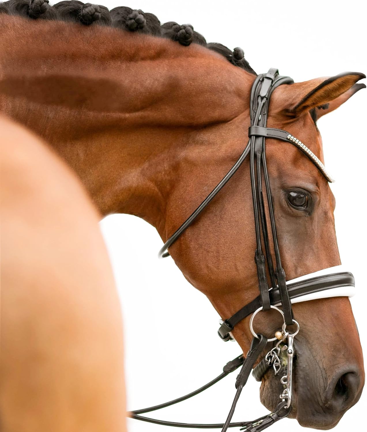 Lumiere Equestrian 'Magnifique' Rolled Leather Bridle White Padding - (Double) : Sports & Outdoors
