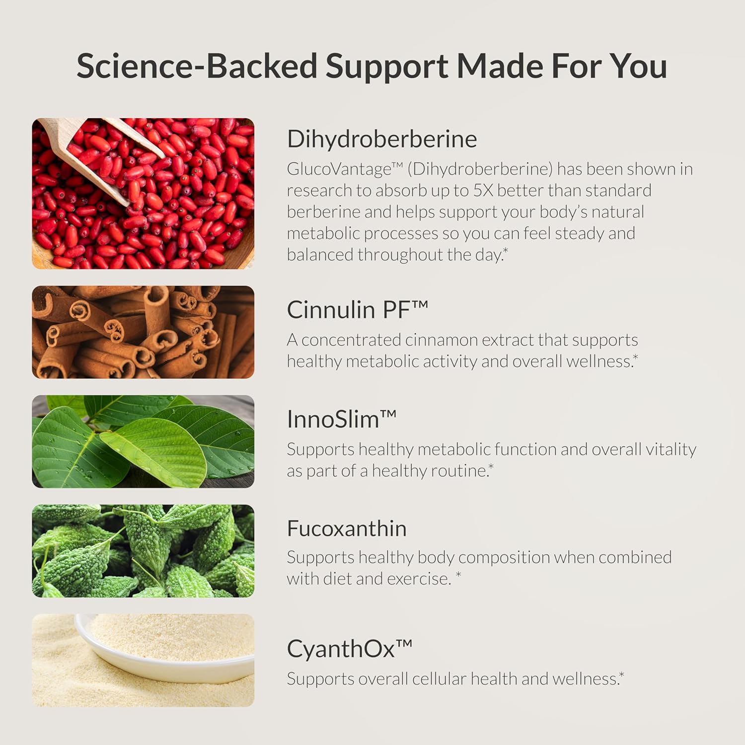 BIOptimizers Berberine Breakthrough Supplement - Metabolic Support –Healthy Metabolism - 60 Capsules – Vegetarian, Gluten-Free, Soy-Free