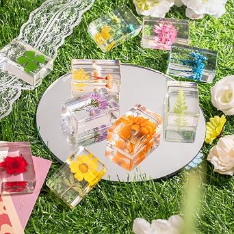12 Pcs Real Pressed Flower Resin Paperweights - Botanical Specimen Collection for Home Desk Decor, Science Education, and Unique Display Supplies