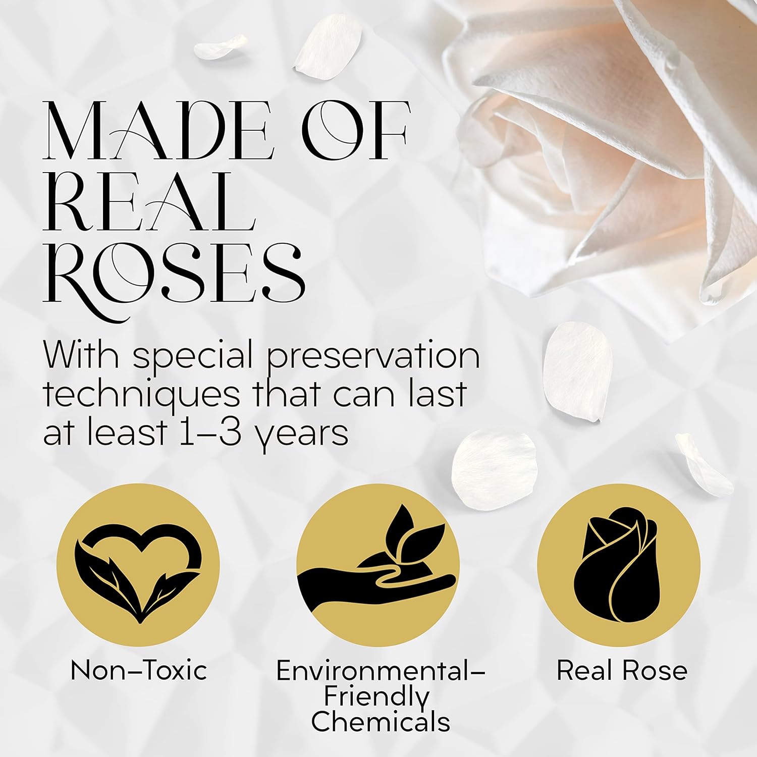 GLAMOUR BOUTIQUE Eternal Preserved Roses in a Box, Flowers Forever, Rose Forever in a Box for Wife or Her, Lasting Real Flower Gift, Elegant Luxury Floral Home Decor, 7 Roses, White (Color-Treated) - Image 2