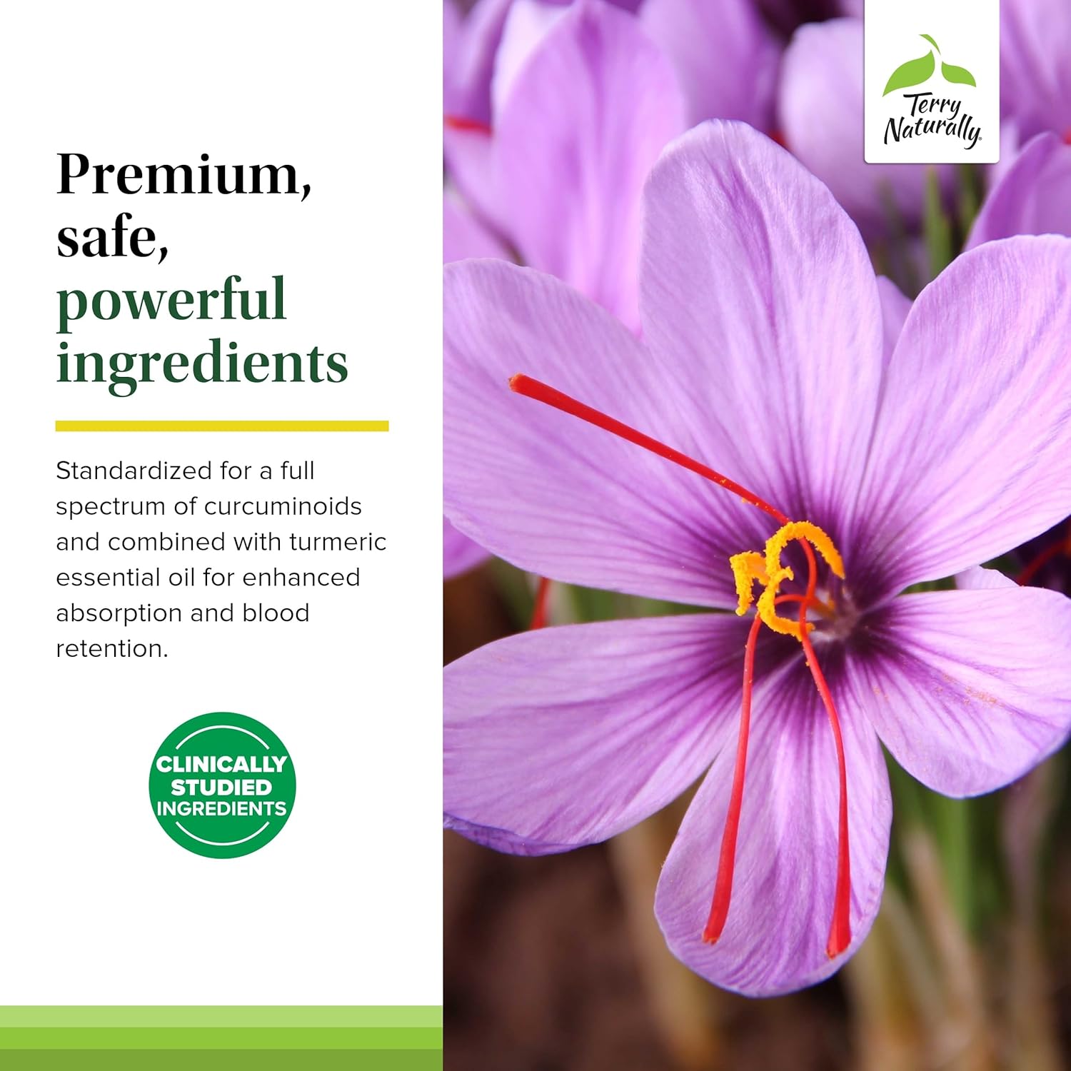 Terry Naturally Saffron Lift + Curcumin - Herbal Supplement with Curcumin - Non-GMO Saffron & Brain Curcumin Capsules - Concentration & Relaxation Support Supplement - 60 Capsules (Pack of 2) - Image 5