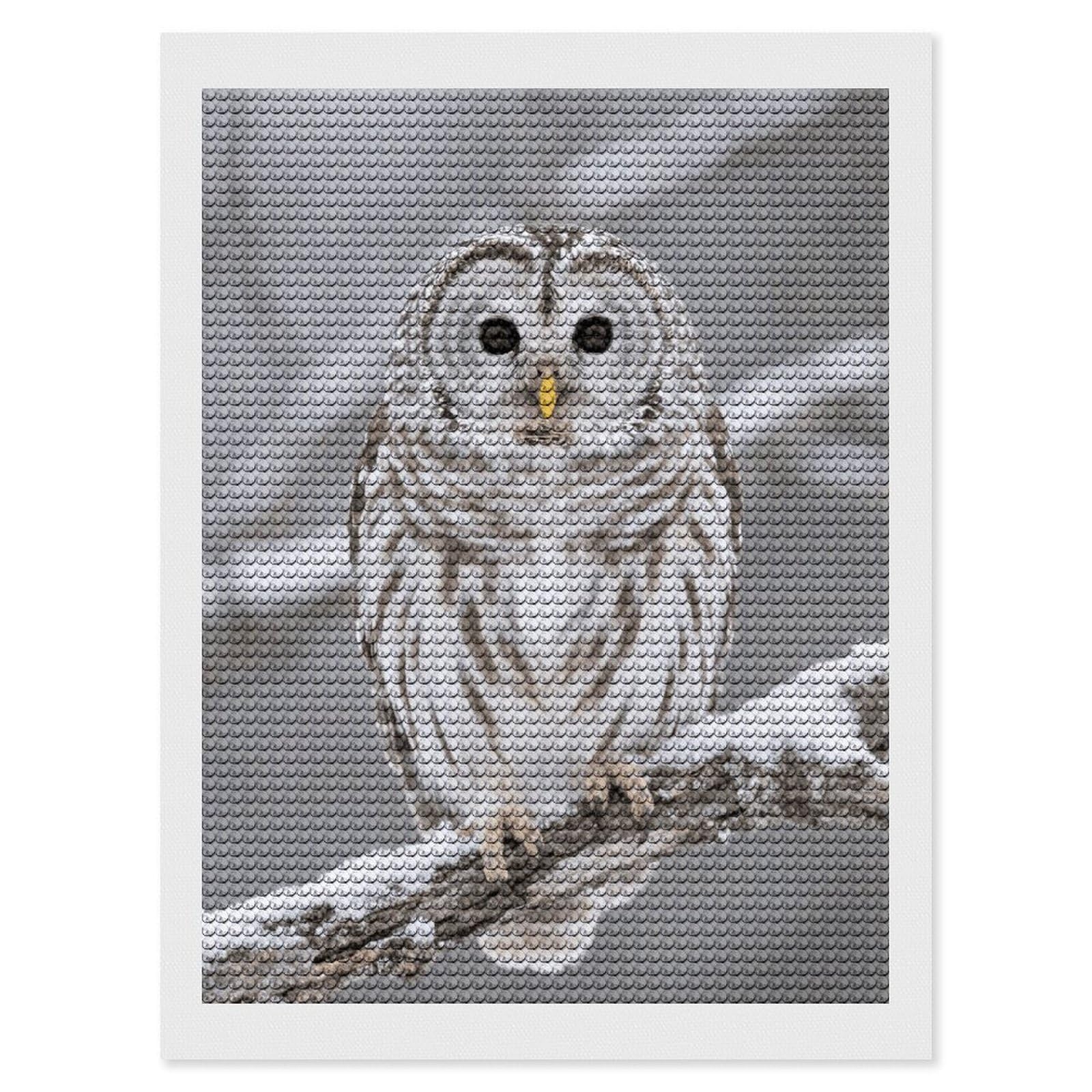 FodPand Curious Barred Owl Closeup 5D Diamond Painting Kits for Adults Beginners Full Drill Round Diamond Dots Pictures Gem Art Supplies for Home Wall Room Decoration DIY Craft Set Gift 12x16