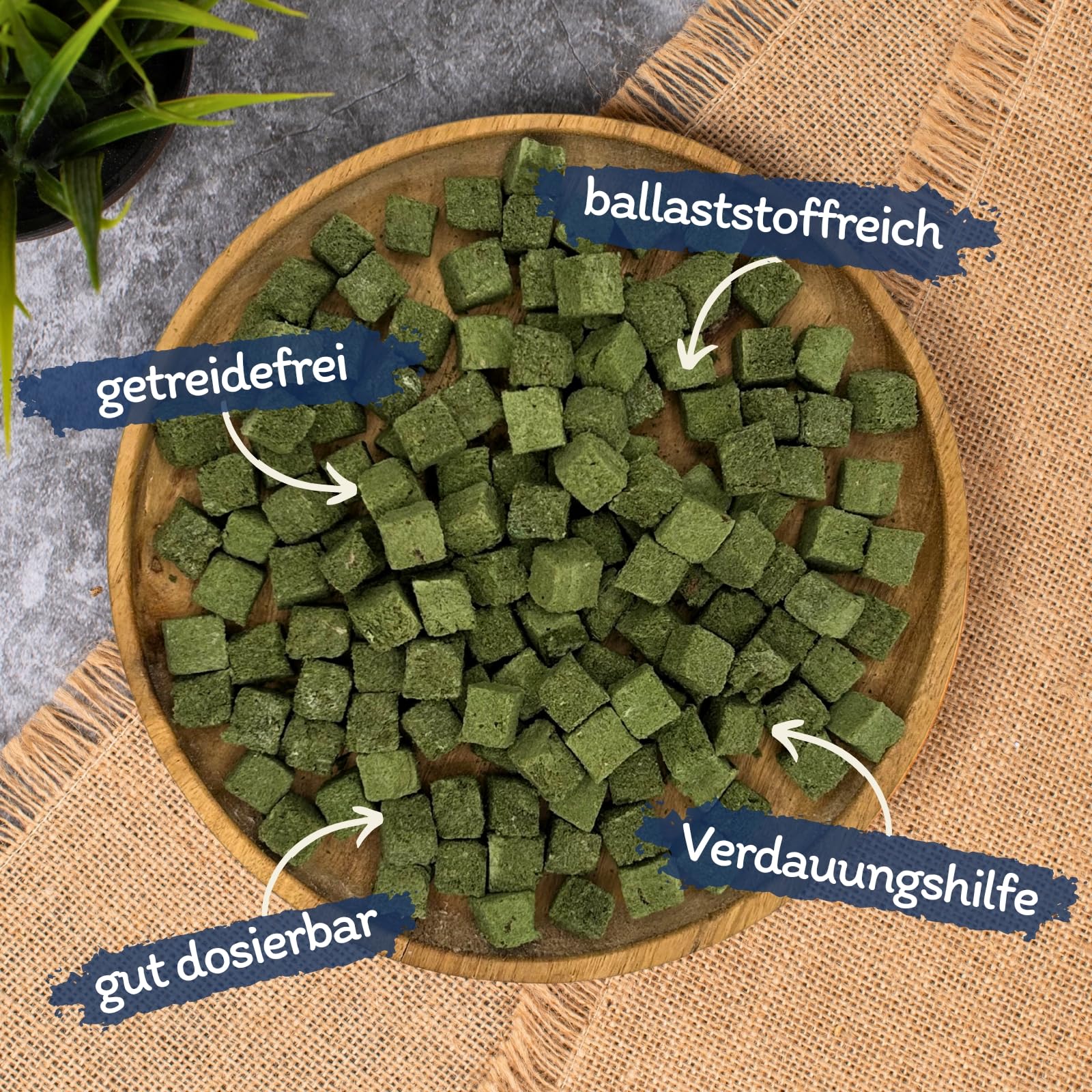 Lyra Pet® 1 kg (5x200g) Katzengraswürfel gefriergetrocknet Snack für Katzen | Mit Huhn & Gerstengras - Getreidefrei & verdauungsfördernd - Ideal auch für Kitten & Senioren - Vitalstoffreiche Belohnung