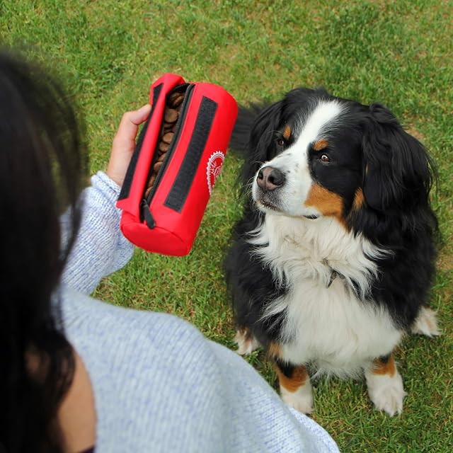 Foto 5 de 6 de Bolsa de recogida de primera calidad para perros, muñeco de comida para golosinas para perros