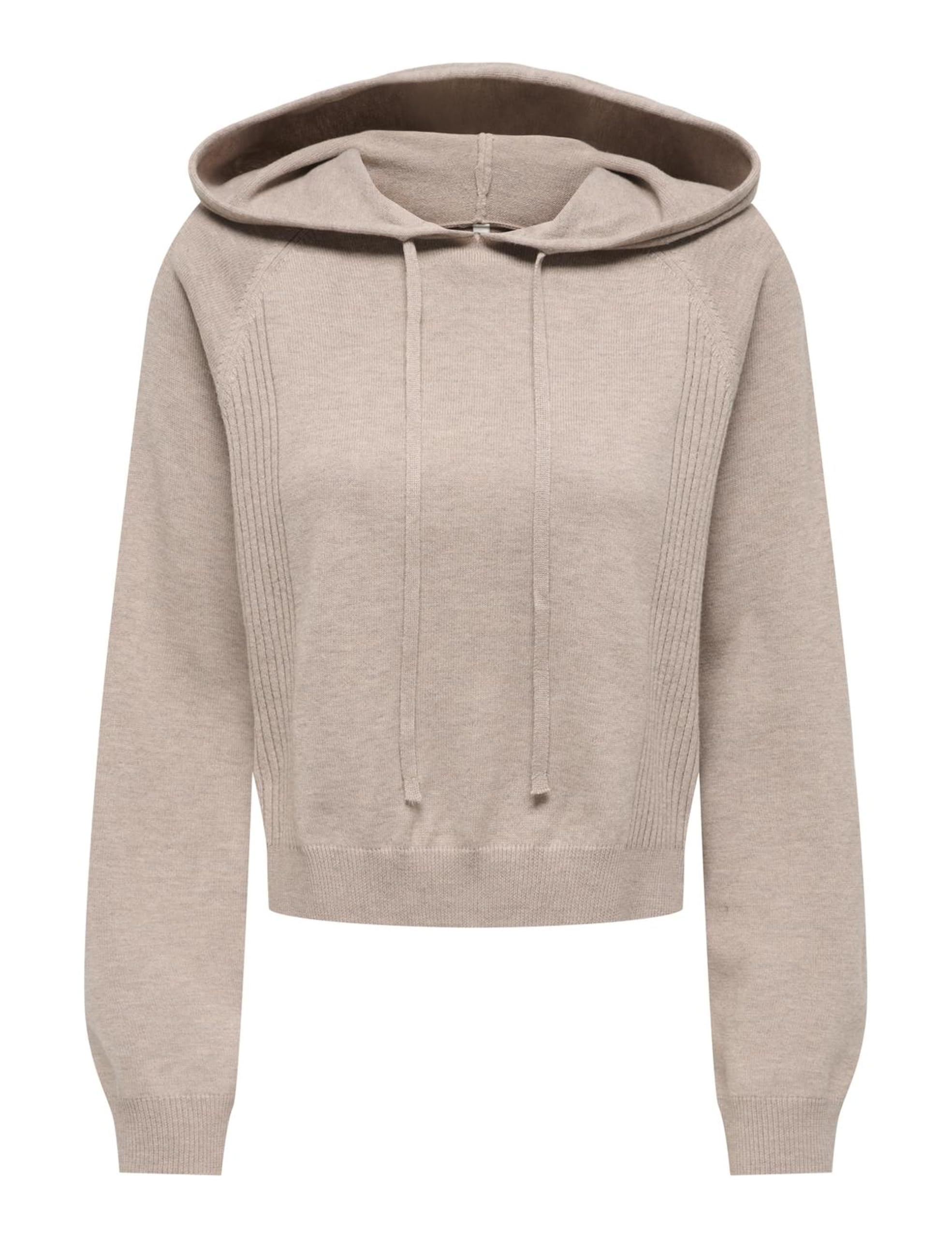 Onlgigi Ls Short Hoodie Cc KNT