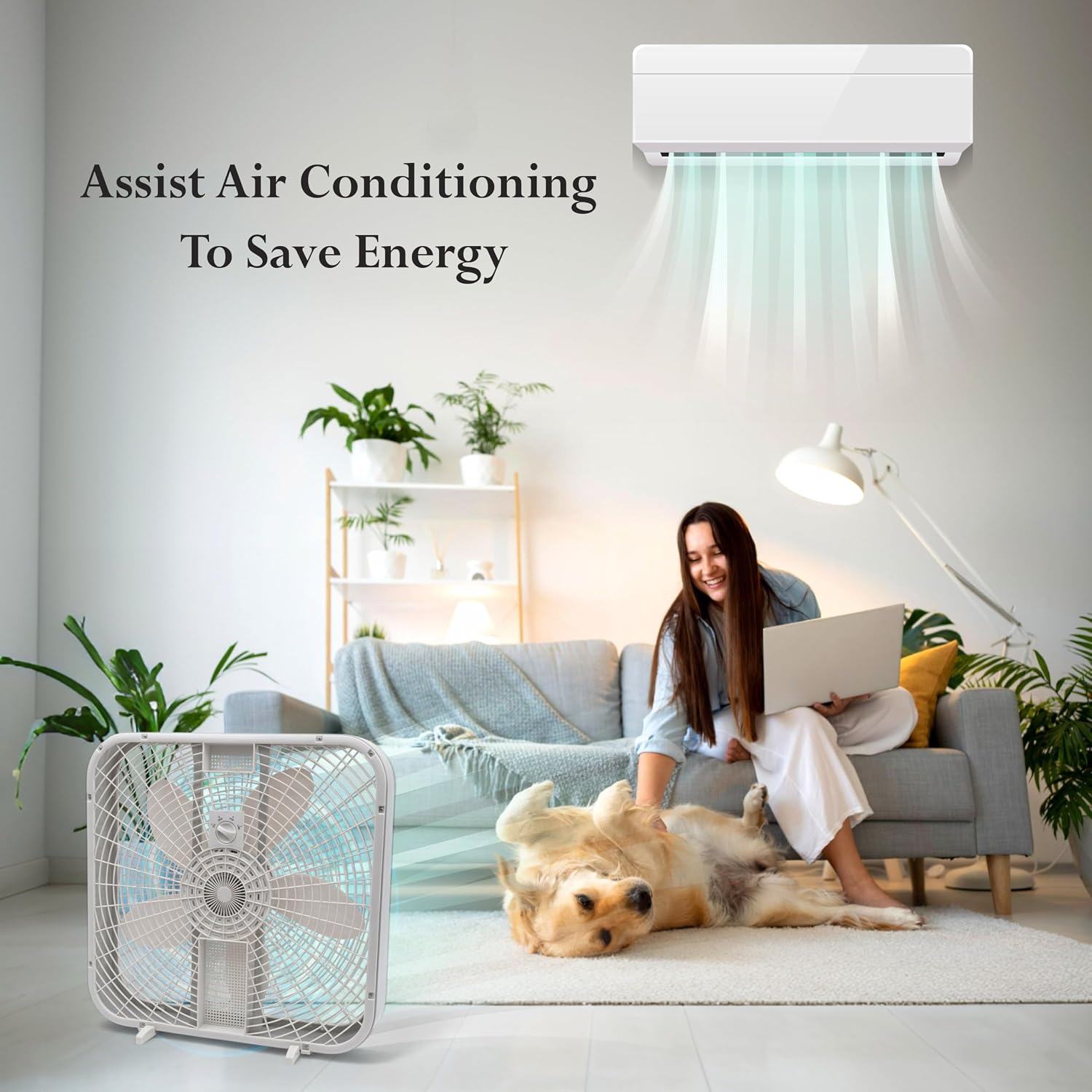 ZOOM 20 Inch White Box Fan, 3 Speeds Setting, Quiet, Fuse Plug, Easy Carry Handle, Full Force Fresh Air into the room, Garage, Kitchen, Dorm, Bedroom, Gym, Livingroom