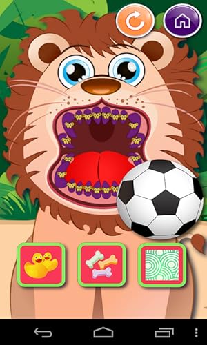 Animal Dentist Office