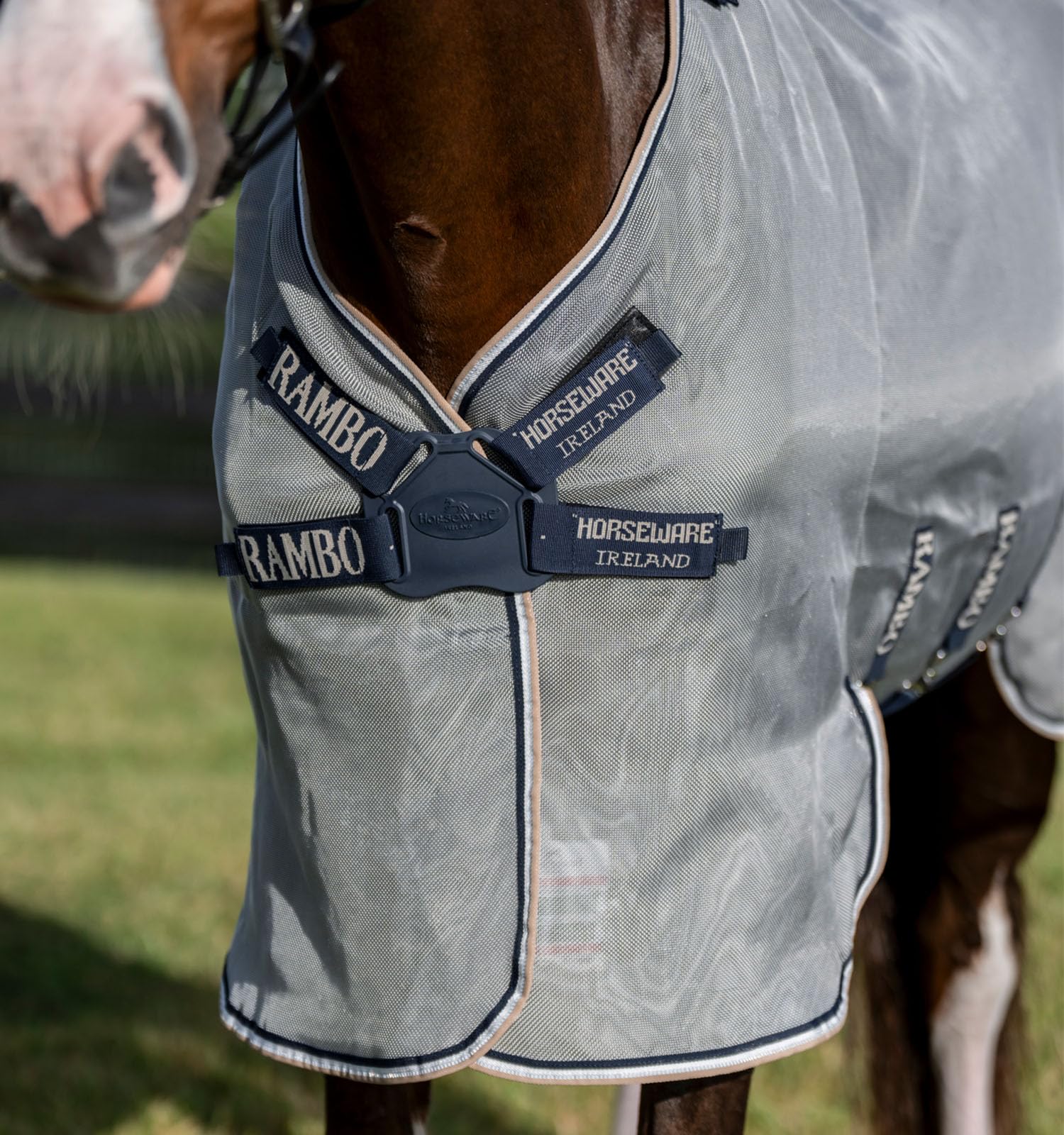 Horseware Protector Fieldsafe Plus - Telo anti-mosca