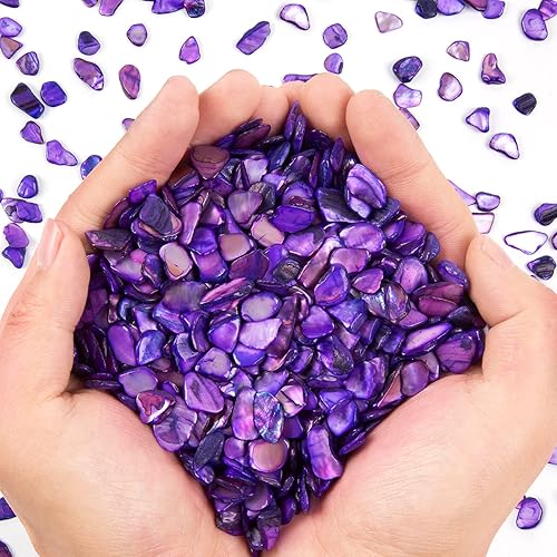 Conchas trituradas para manualidades de aproximadamente 2 libras (31.75 oz31.74 onzas), pequeñas conchas naturales trituradas a granel para