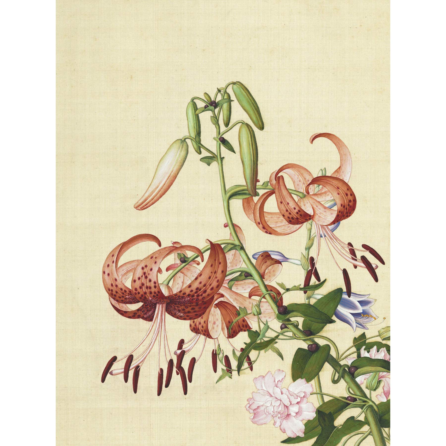 Castiglione Leinwandbild, Motiv: Lilien, Blume, Pflanze, groß, Kunstdruck