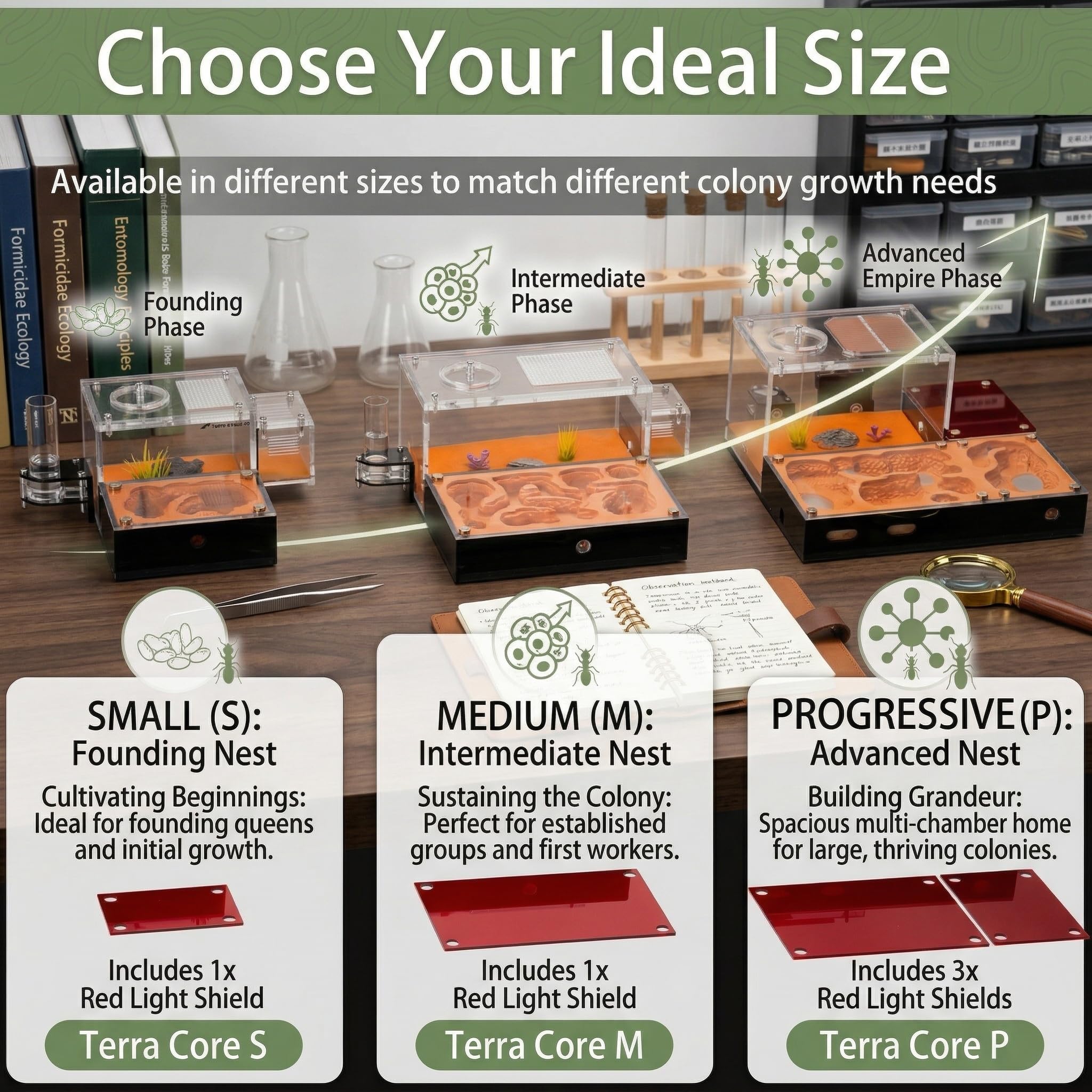Formicarium - Hábitat de granja de hormigas para hormigas vivas y reinas, kit educativo para adultos para estudio y aprendizaje de comportamiento de hormigas