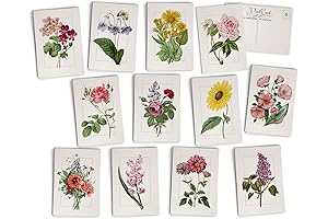 Vintage Floral Postcards: Capture the Essence of Nature in Every Mail