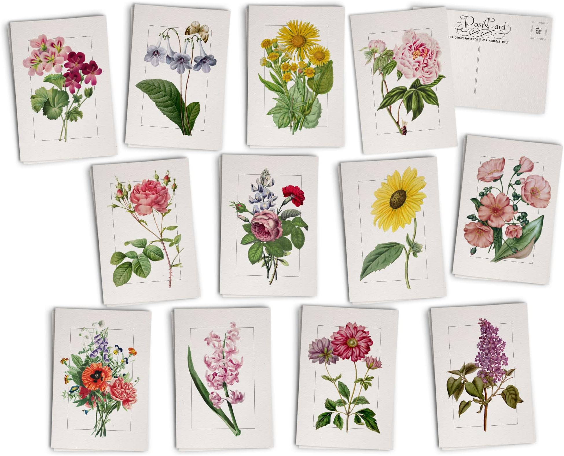 Floret Farm's Cut Flower Garden 100 Postcards (Floral
