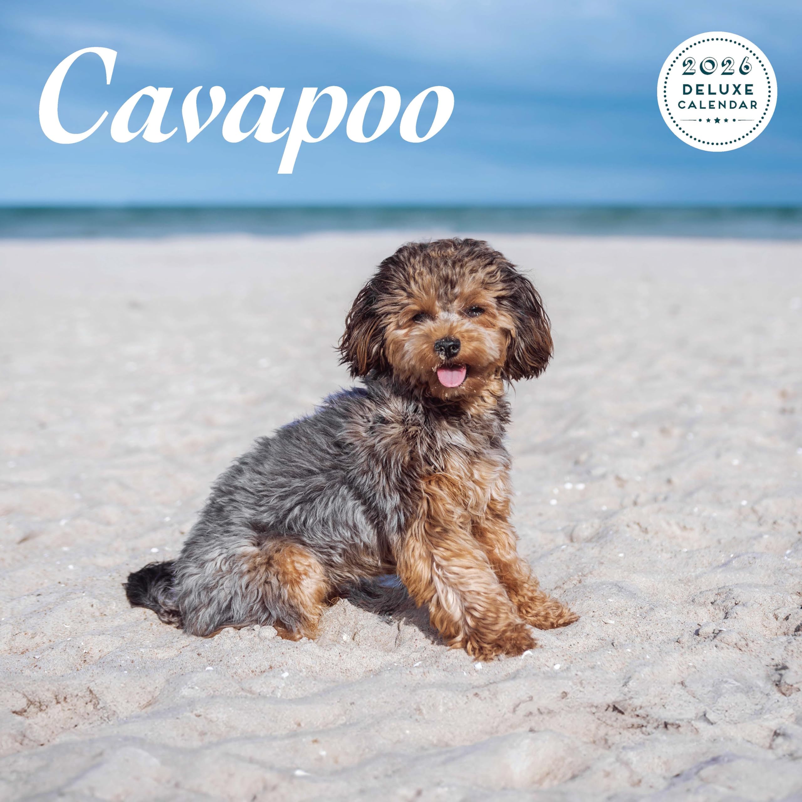 Cavapoo 2026 Deluxe Calendar