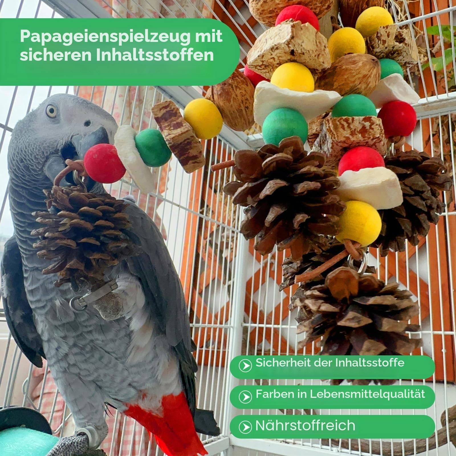 MQUPIN Papageienspielzeug, nussiges, nährstoffreiches Vogelspielzeug, natürliches hölzernes Beißspielzeug für Papageienkäfige, mit Tintenfischknochen, Kiefernzapfen, hölzernen Mangos und Karambole