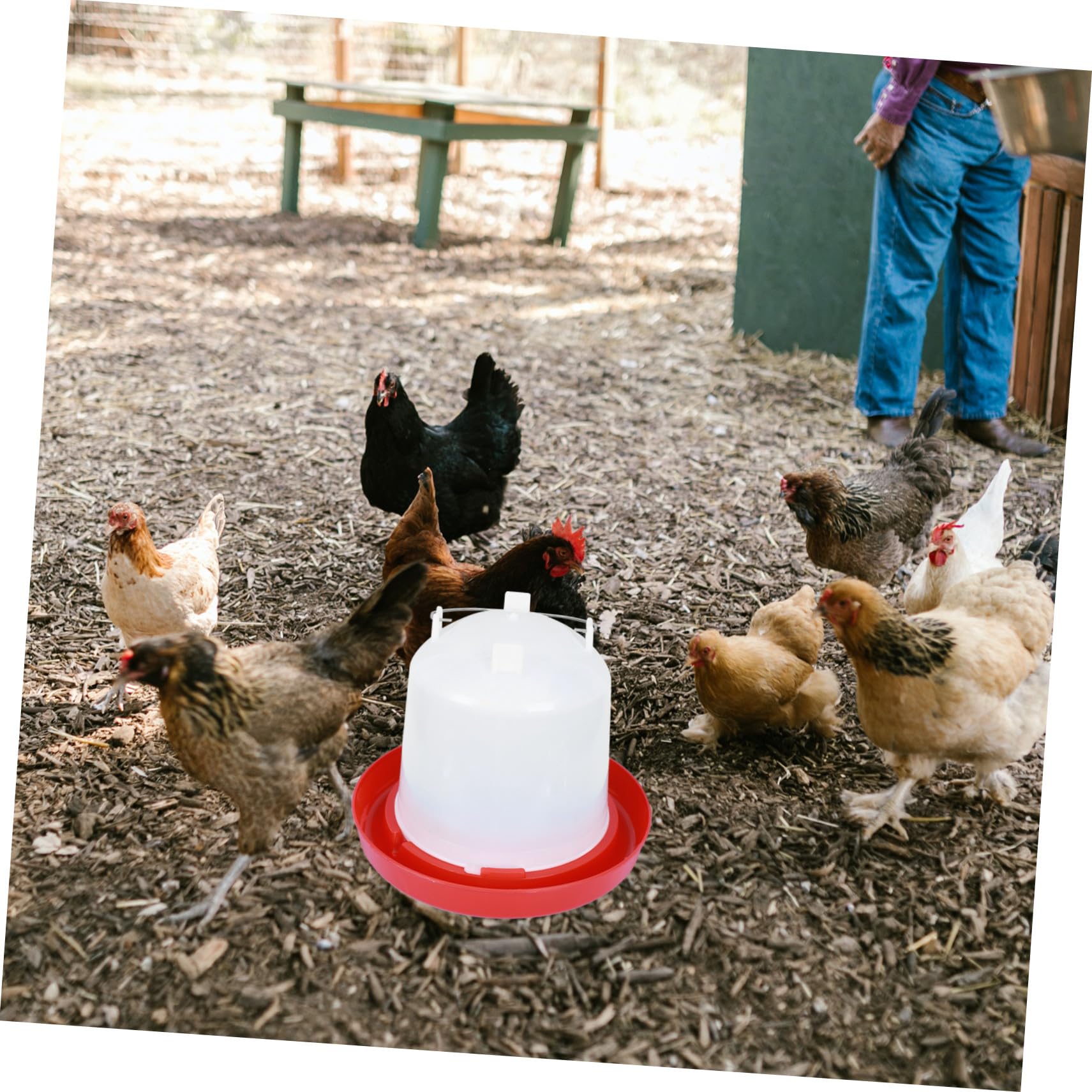 ORFOFE Abbeveratoio Automatico per Pollame e Pulcini, Secchio Acqua da 12 Litri in Plastica Spessa per Allevamento, Facile da Pulire e Smontare, Adatto a Fattorie e Galline Stili multipli