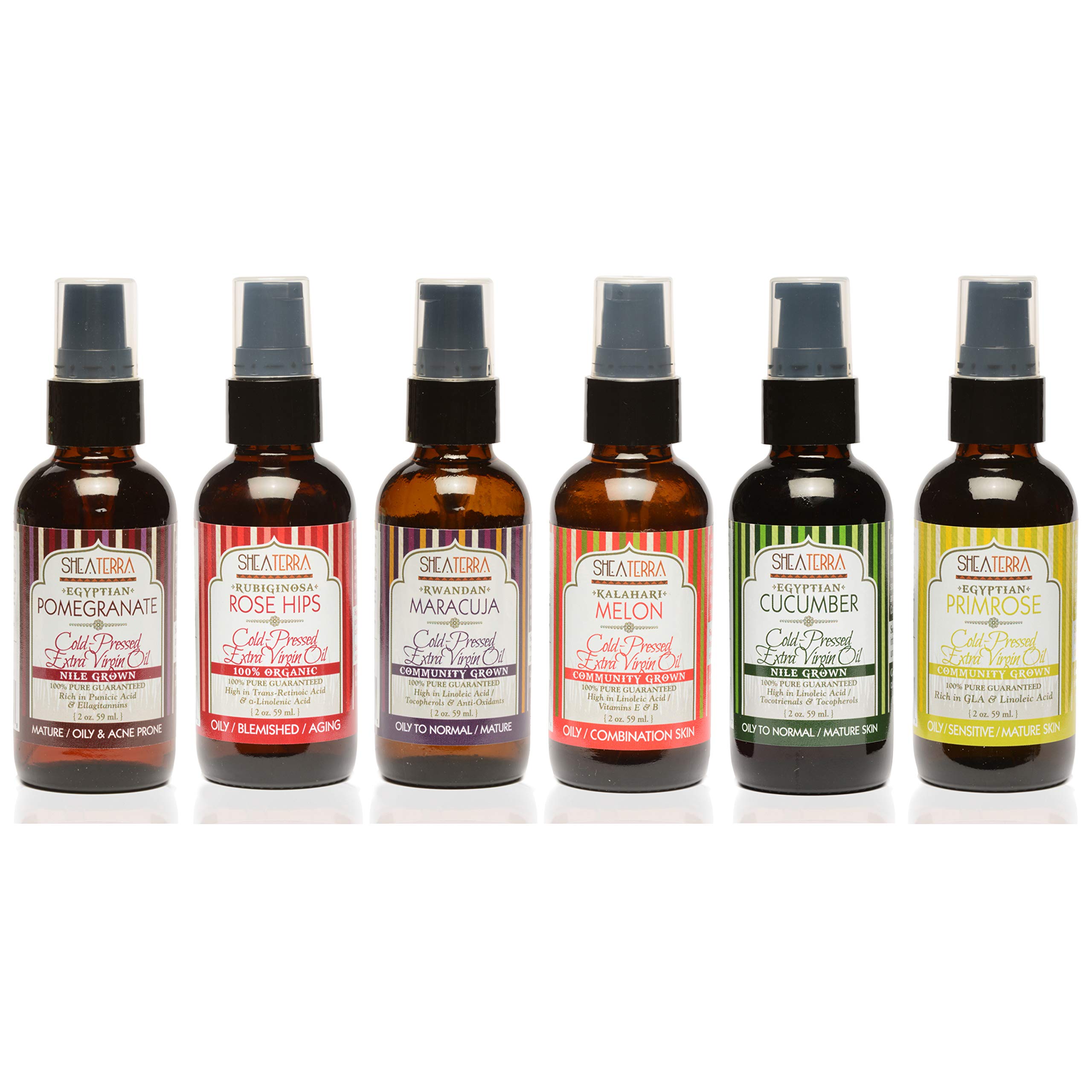Shea Terra Oily Skin Type Cold-Pressed Extra Virgin Oil Gift Set | Variety of Natural & Organic Oils for Oily Skin Type with Many Powerful Nutrients to Benefit Skin & Hair – 6 bottles (2 oz. Each)