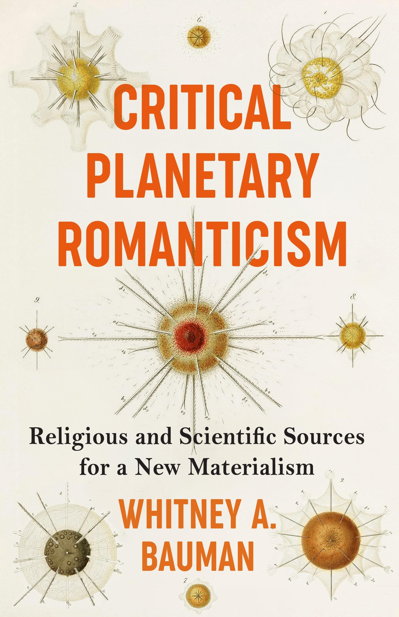 Critical Planetary Romanticism pour repenser l'écologie politique