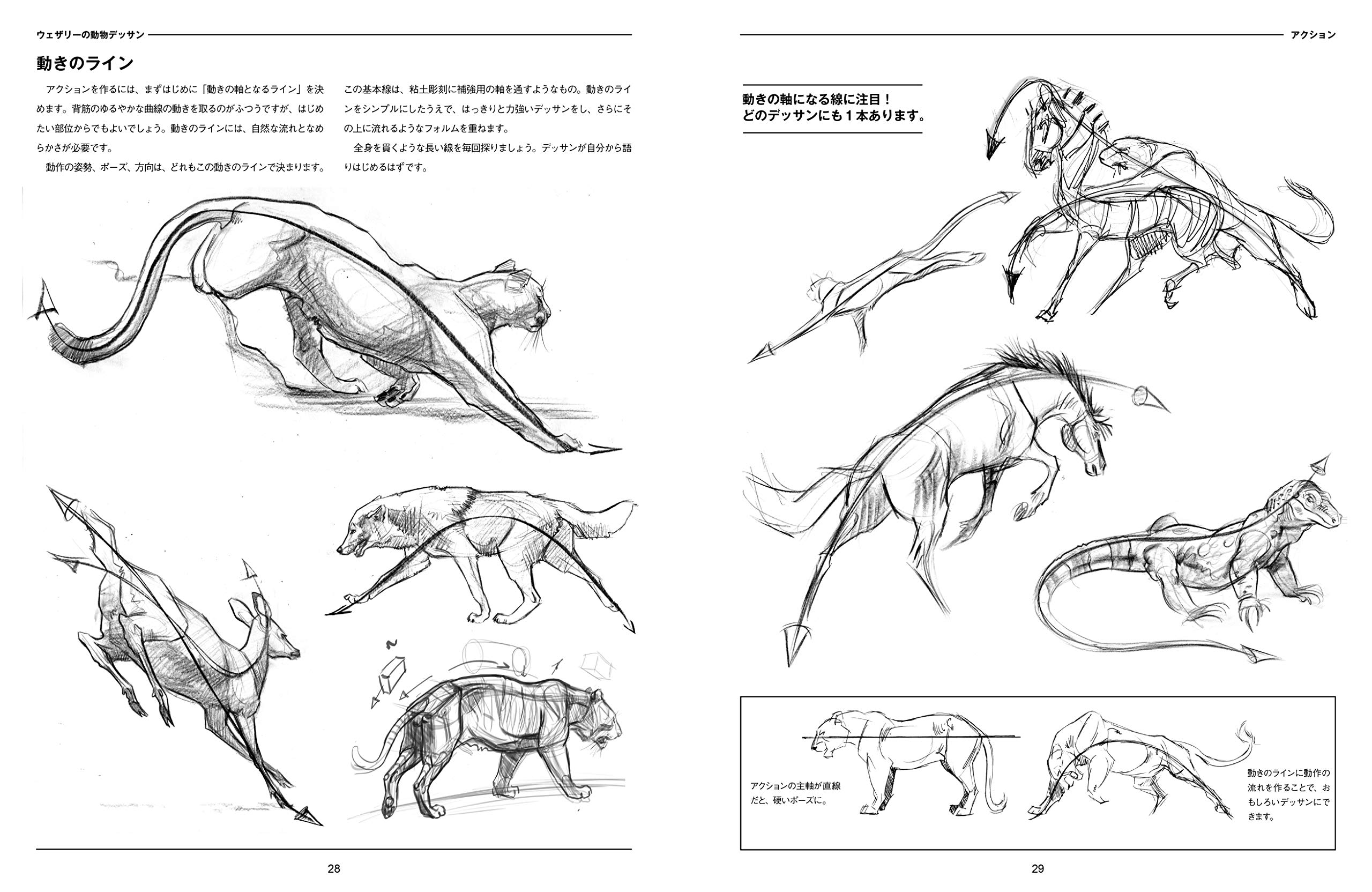 Amazon Co Jp ウェザリーの動物デッサン 立体と線でみるみる描ける ジョー ウェザリー 大久保 ゆう Japanese Books