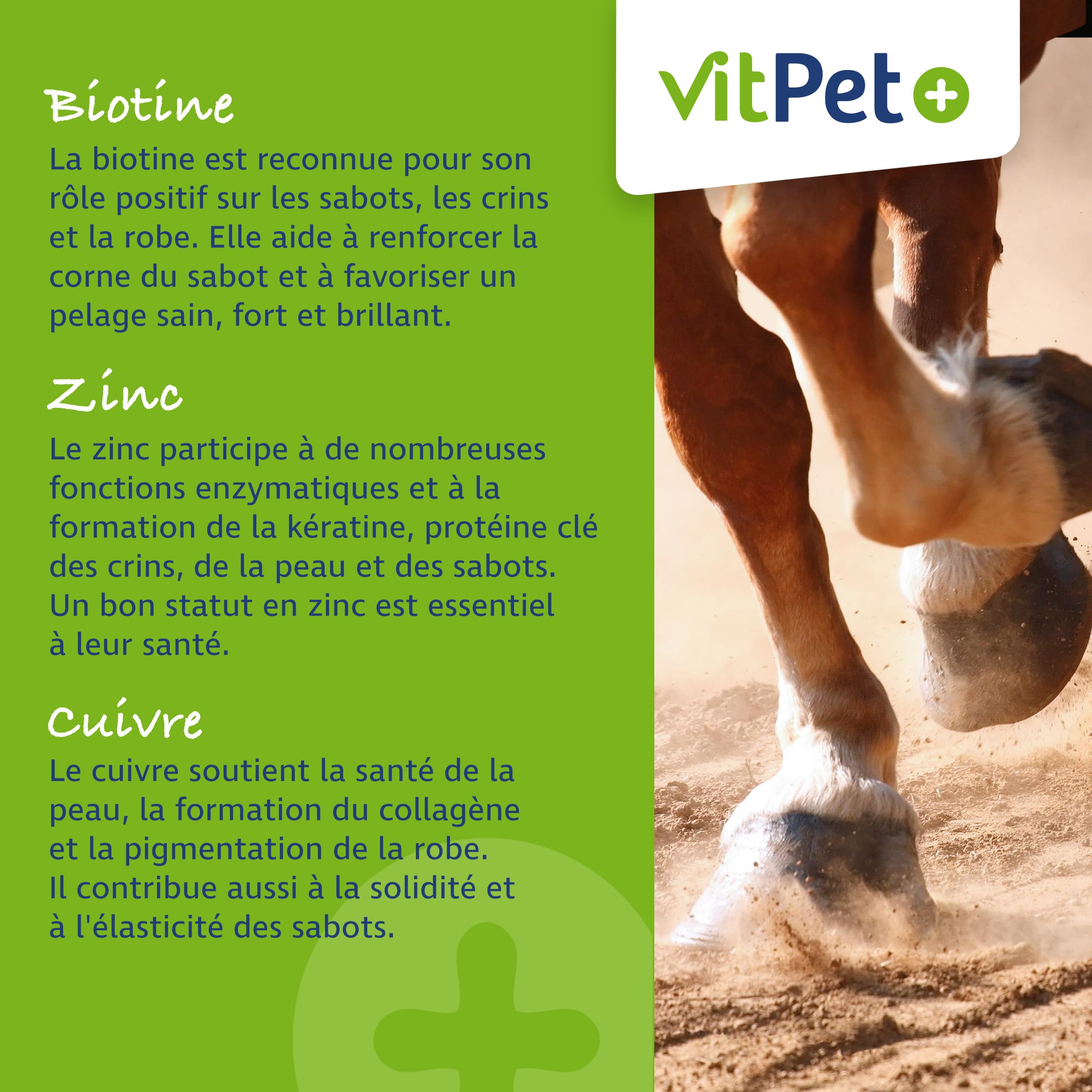 Huf Wohl - Alimento mineral especial para caballos, con biotina, zinc, tierra de diatomeas y levadura de cerveza, 4 kg, para apoyar el crecimiento de pezuñas, incluye cuchara dosificadora