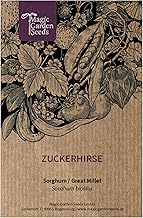 Zuckerhirse (Sorghum bicolor) - ca. 200 Samen
