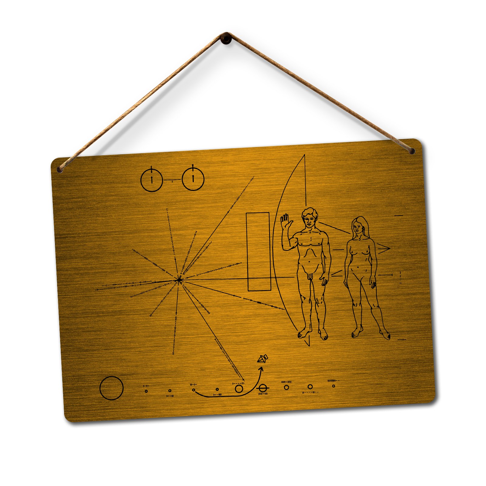 | Wtf | Brushed Metal Wtf | Voyager Probe Plaque – | Twine - Metal Wall Sign Plaque Custom Name