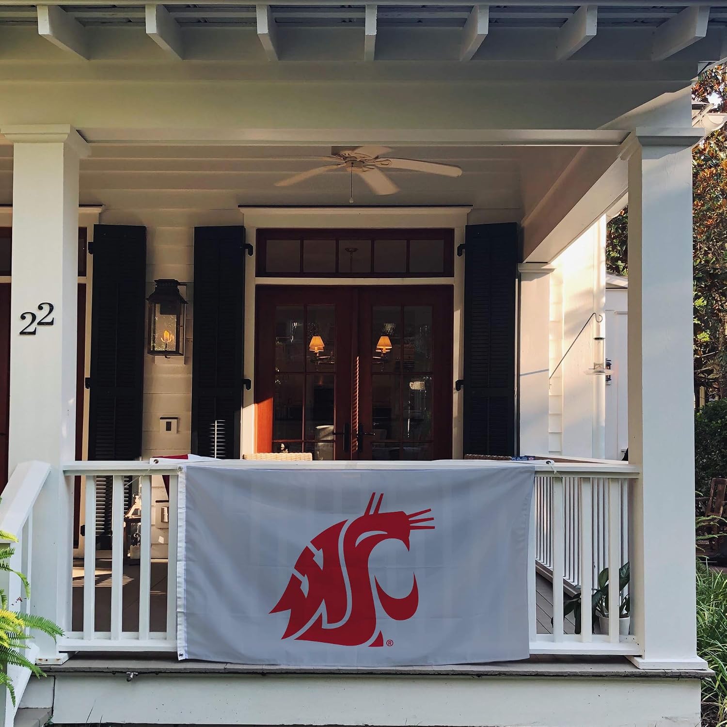 Desert Cactus Washington State University Flag Cougars Banners 100% Polyester Indoor Outdoor 3x5 feet Flags (Style 3)