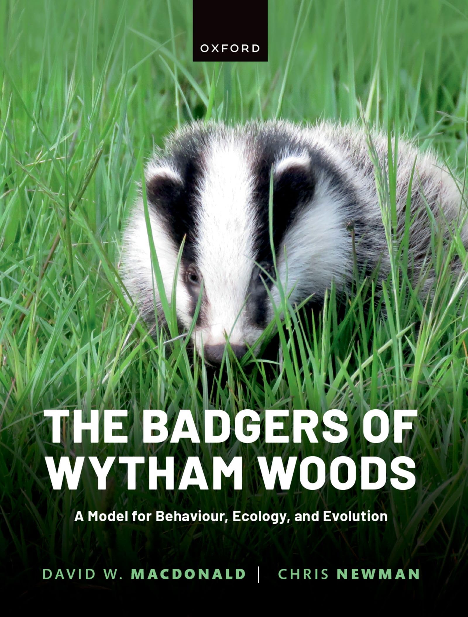 The Badgers of Wytham Woods by Chris  Newman (Paperback Book)