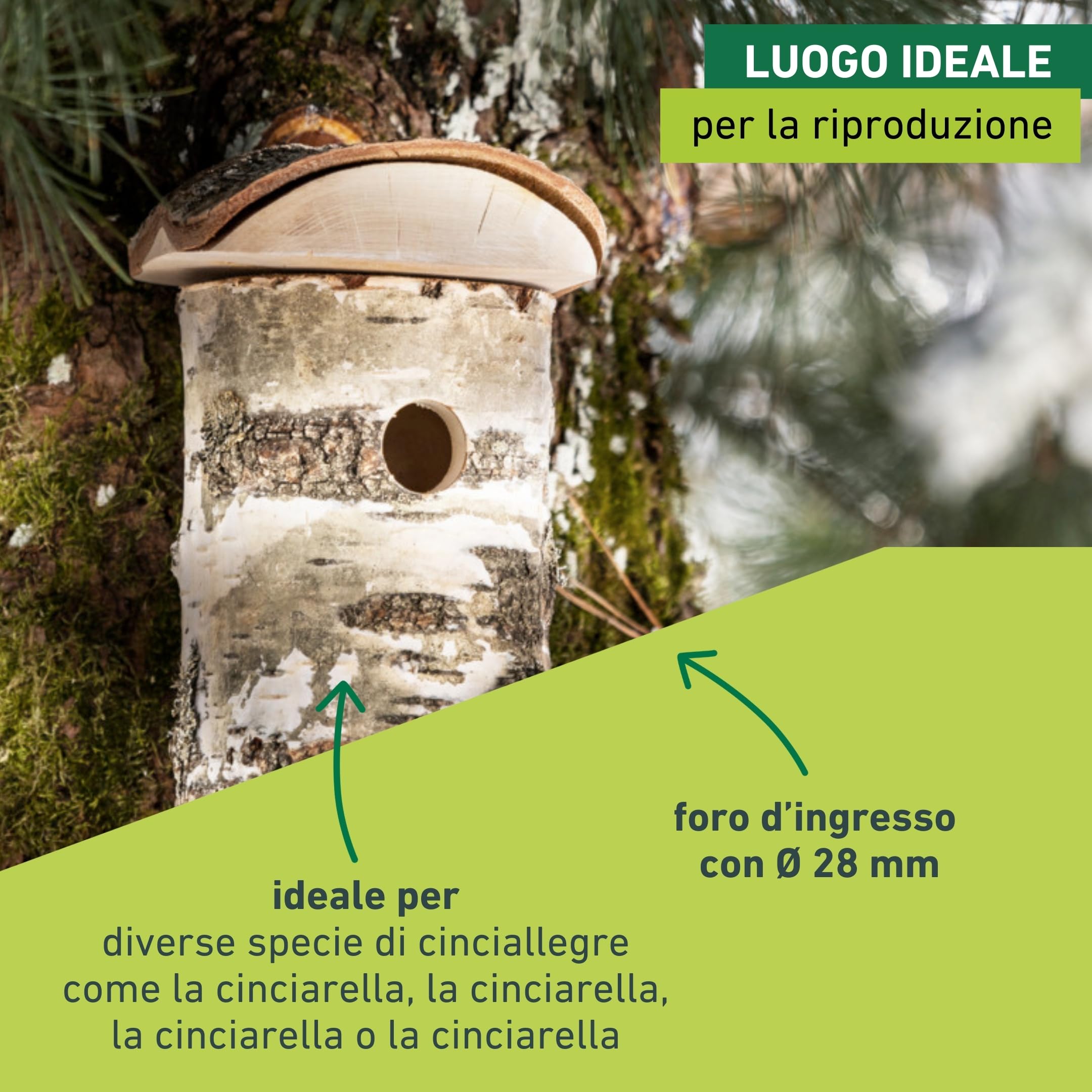 Windhager cassetta nido per uccelli Wildkogel, foro dingresso Ø 28 mm, tetto rimovibile, legno di betulla, casetta per uccelli, cassetta nido per uccelli da appendere, durevole