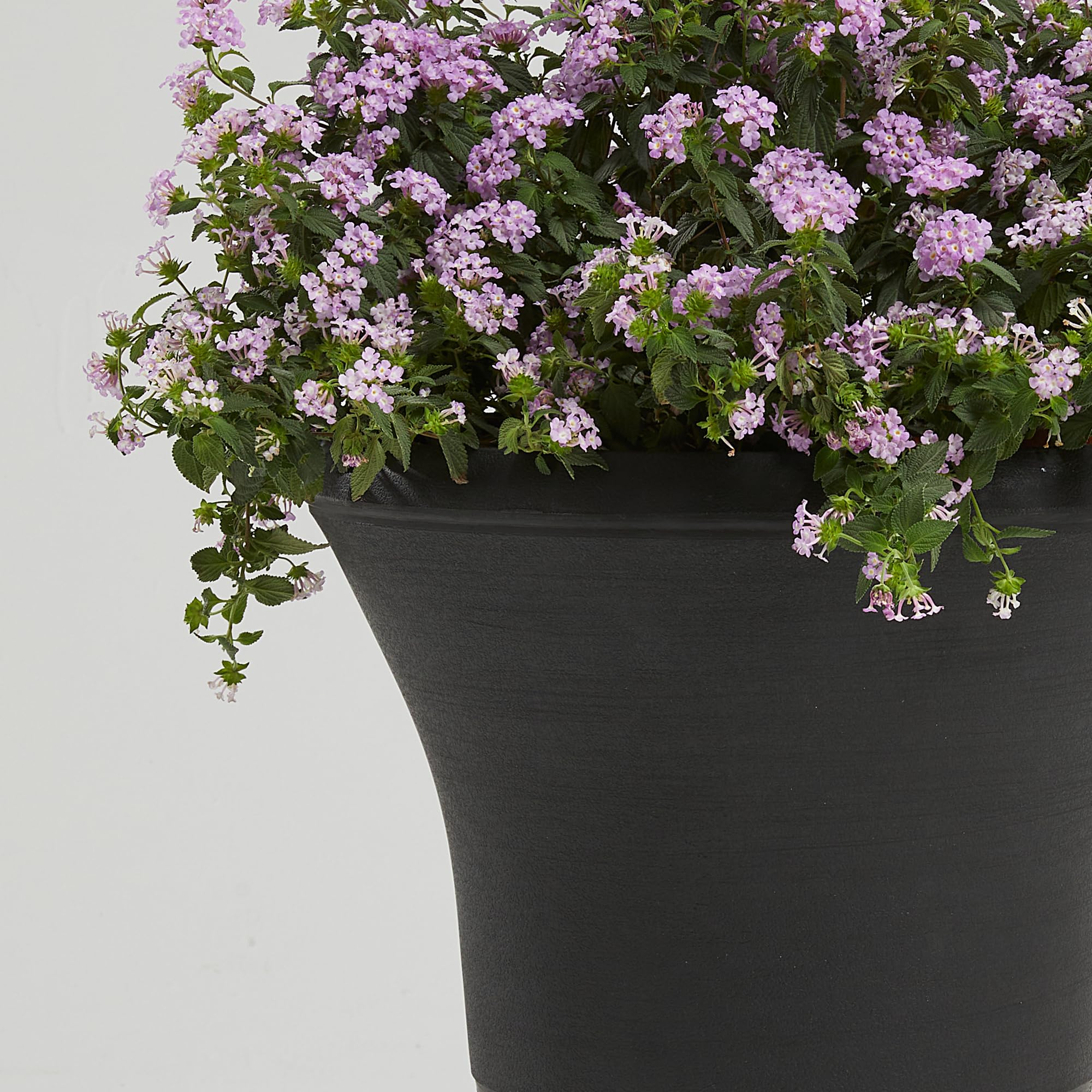 55 cm Ein Paar Groß Urnentopf Römischen Stil Schwarz große Pflanzgefäße in 4 mm Resin Blumentopf, Steinnachbildung Leicht Großvolumig Pflanzkübel Rund Hoch für Hochzeit Haustür Garten