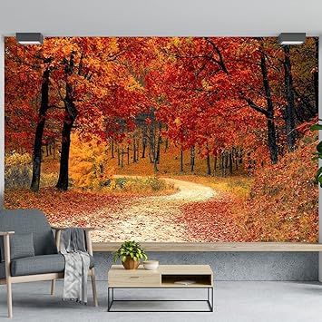 The Seven Colours Beautiful Self Adhesive Wallpapers Autumn Forest Vinyl for Wall Decors | Floors | Flooring Roll | Home Decoration | Bedroom | Office Walls (120x144 Inches)