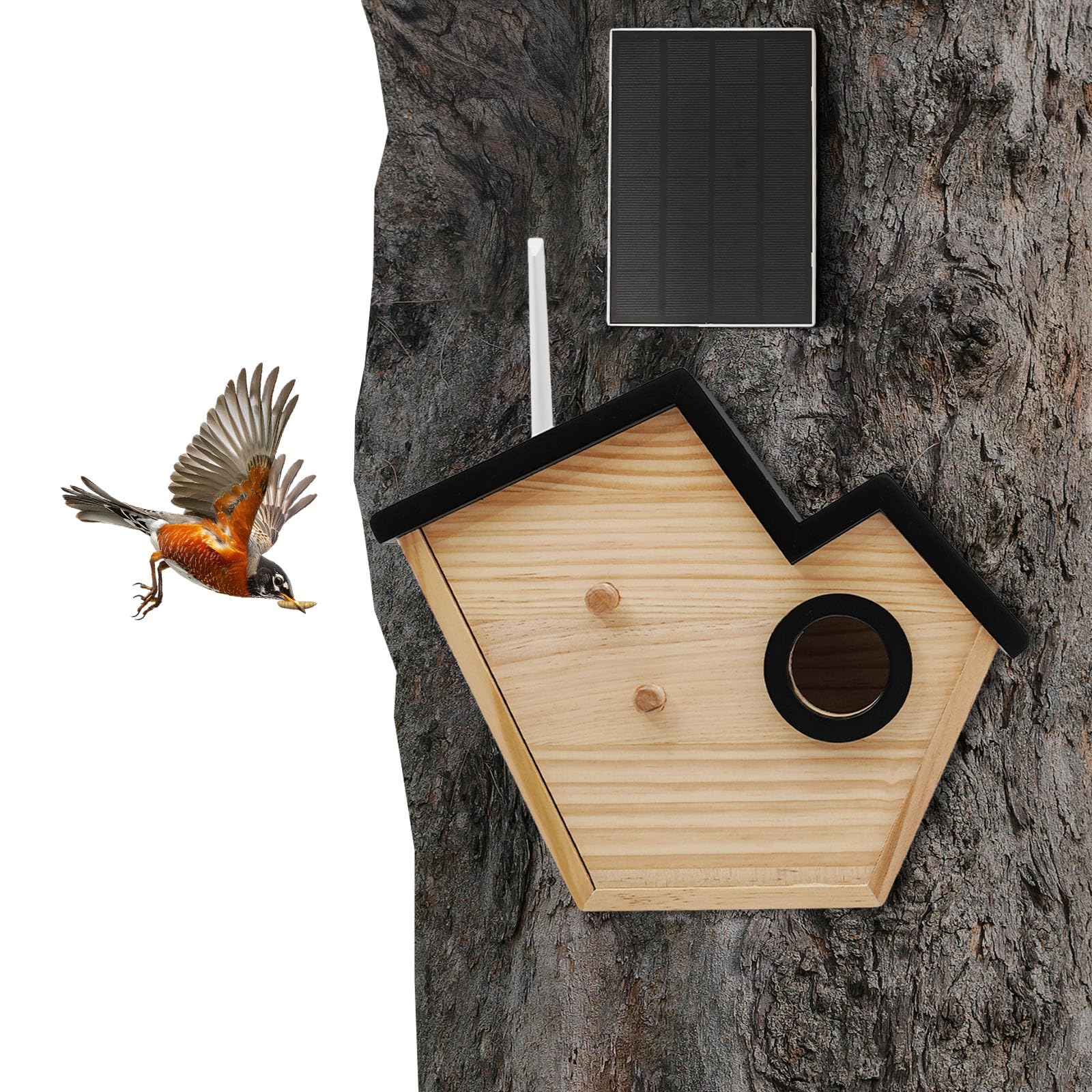 Casa de pájaros inteligente de madera con cámara, nido de pájaros alimentado por energía solar con detección de IA, nido con cámara de caza HD, visión nocturna, resistente a la intemperie