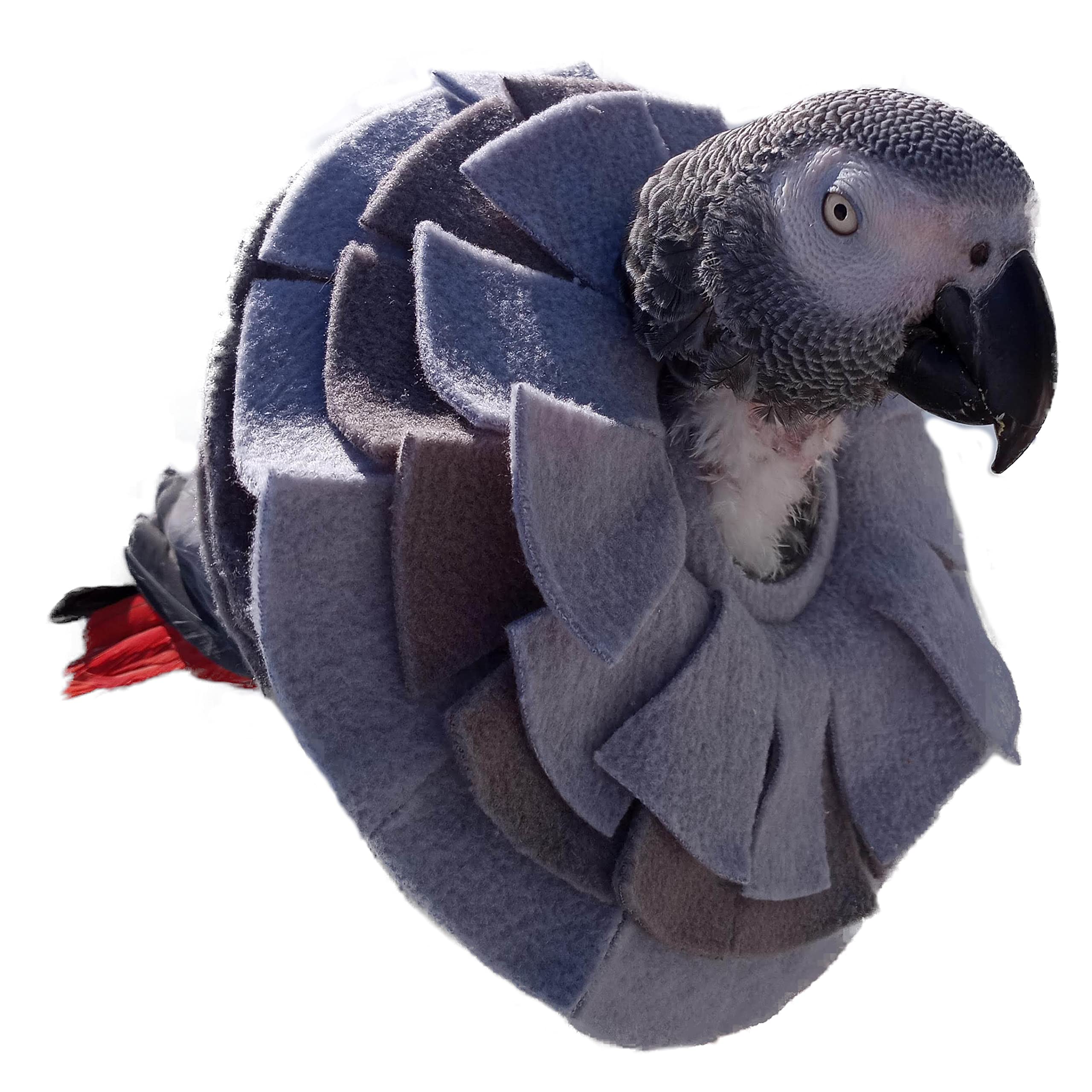 Stiff Insert Cone Bird Collar for African Grey Parrots