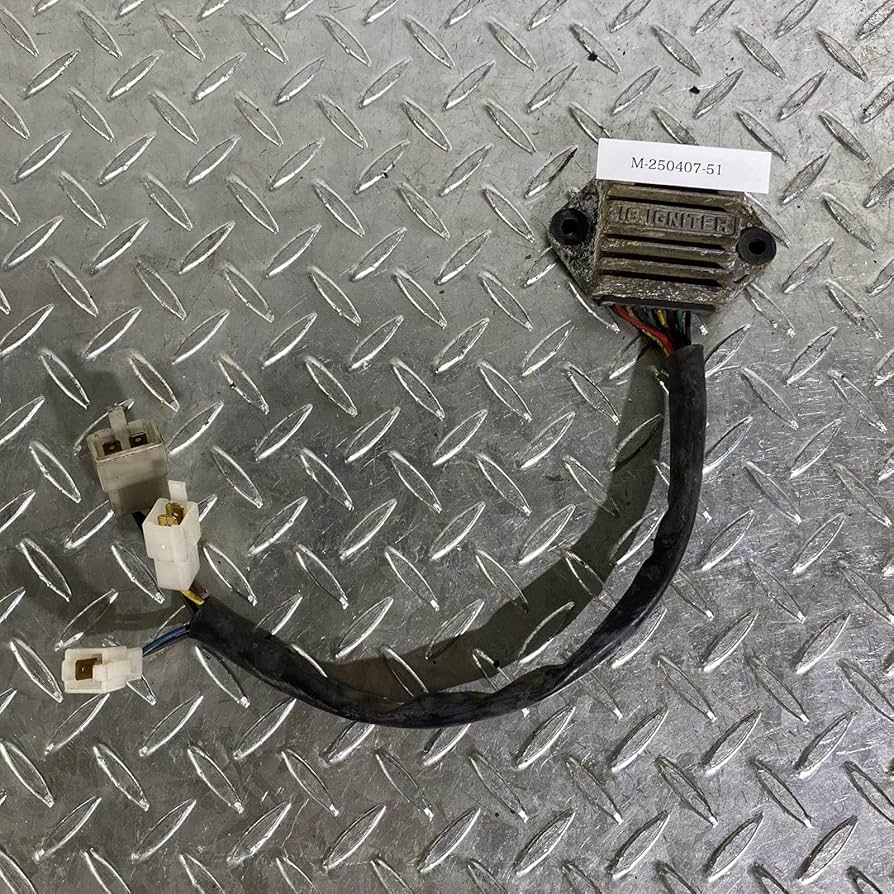 Amazon | Z750GP イグナイター(M-250407-51) | バイク用