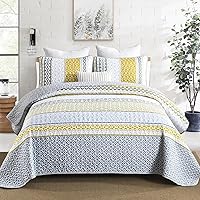 Vista 14 de DJY Juego de edredón a rayas tamaño Queen, juego de colcha bohemia verde salvia de 3 piezas, juego de ropa de cama acolchada de microfibra suave