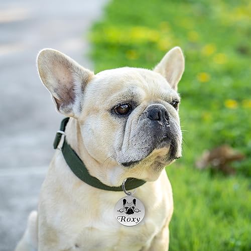 Miniatura 4 de Etiquetas para perro grabadas para mascotas, etiqueta de perro personalizada, etiquetas de identificación de perro de acero inoxidable