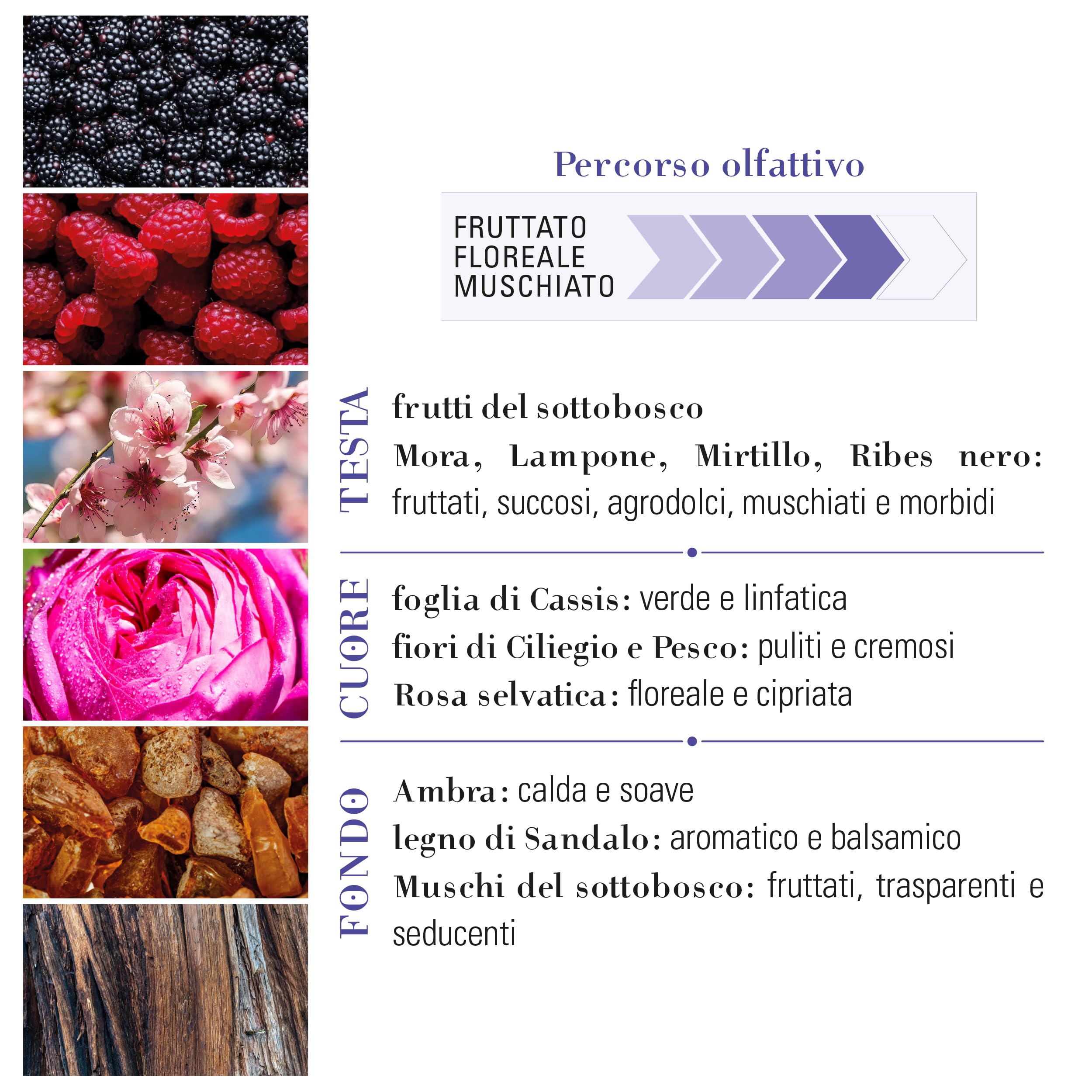 Helan Mora Moss - perfumy damskie dzikie perfumy, owocowe, kwiatowe i piżmowe z jeżyną, maliną, jagodą, dziką różą i drzewem sandałowym - 50 ml, wyprodukowano we Włoszech