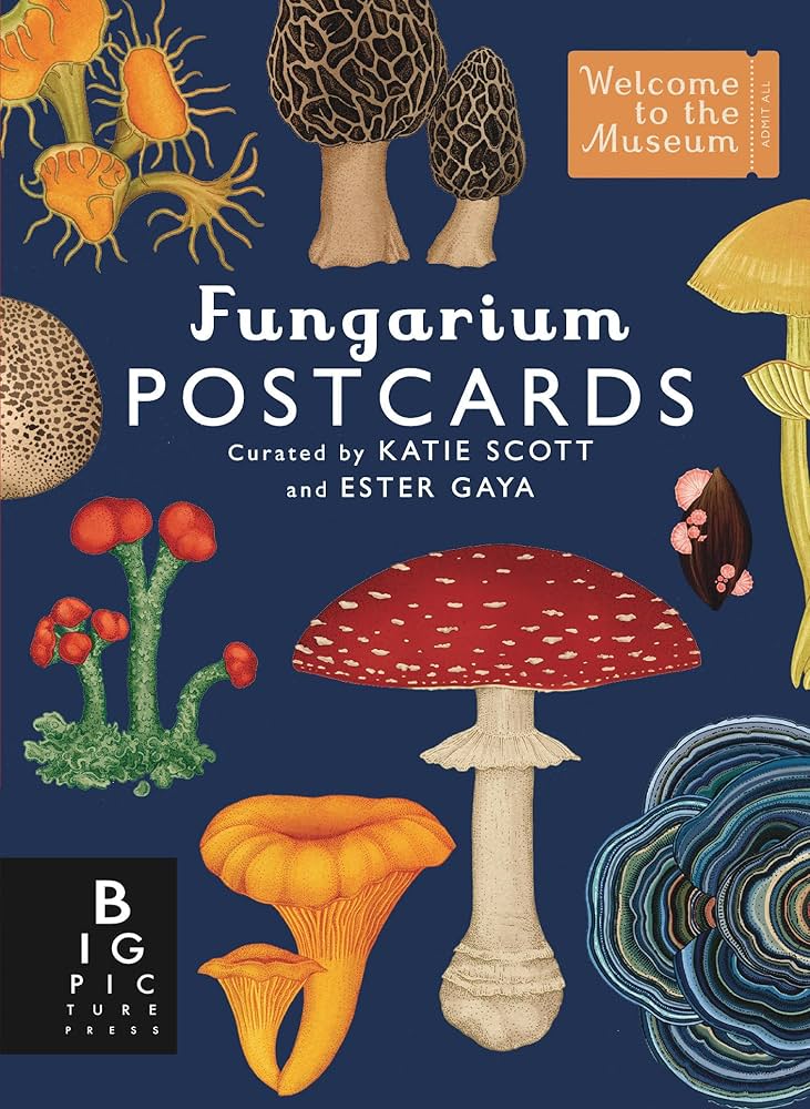 Botanicum & Fungarium 3冊セット Fungarium Postcard Box Set (Welcome to the Museum): Gaya, Ester