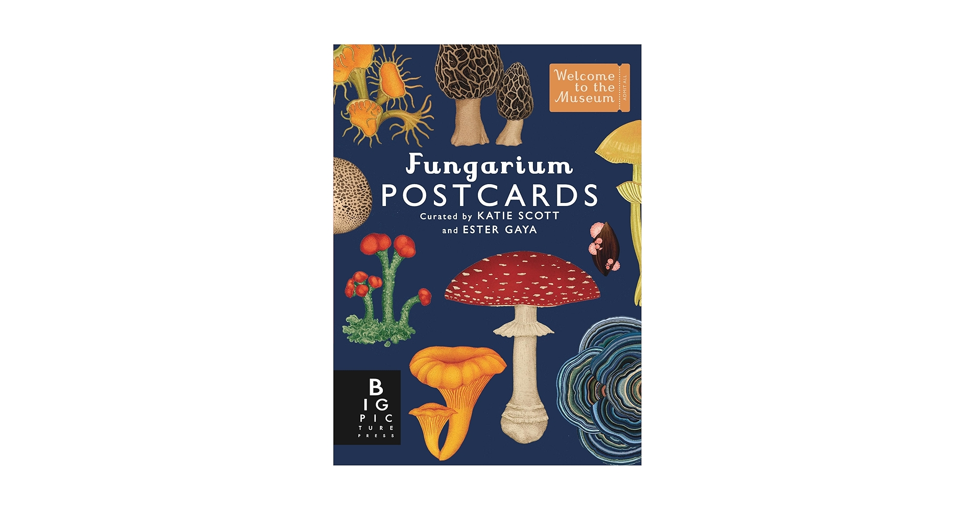 Botanicum & Fungarium 3冊セット Botanicum & Fungarium 3冊セット - メルカリ
