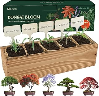 5 DIY Bonsai Tree Kit for Beginners, Complete Indoor Gardening Starter K...