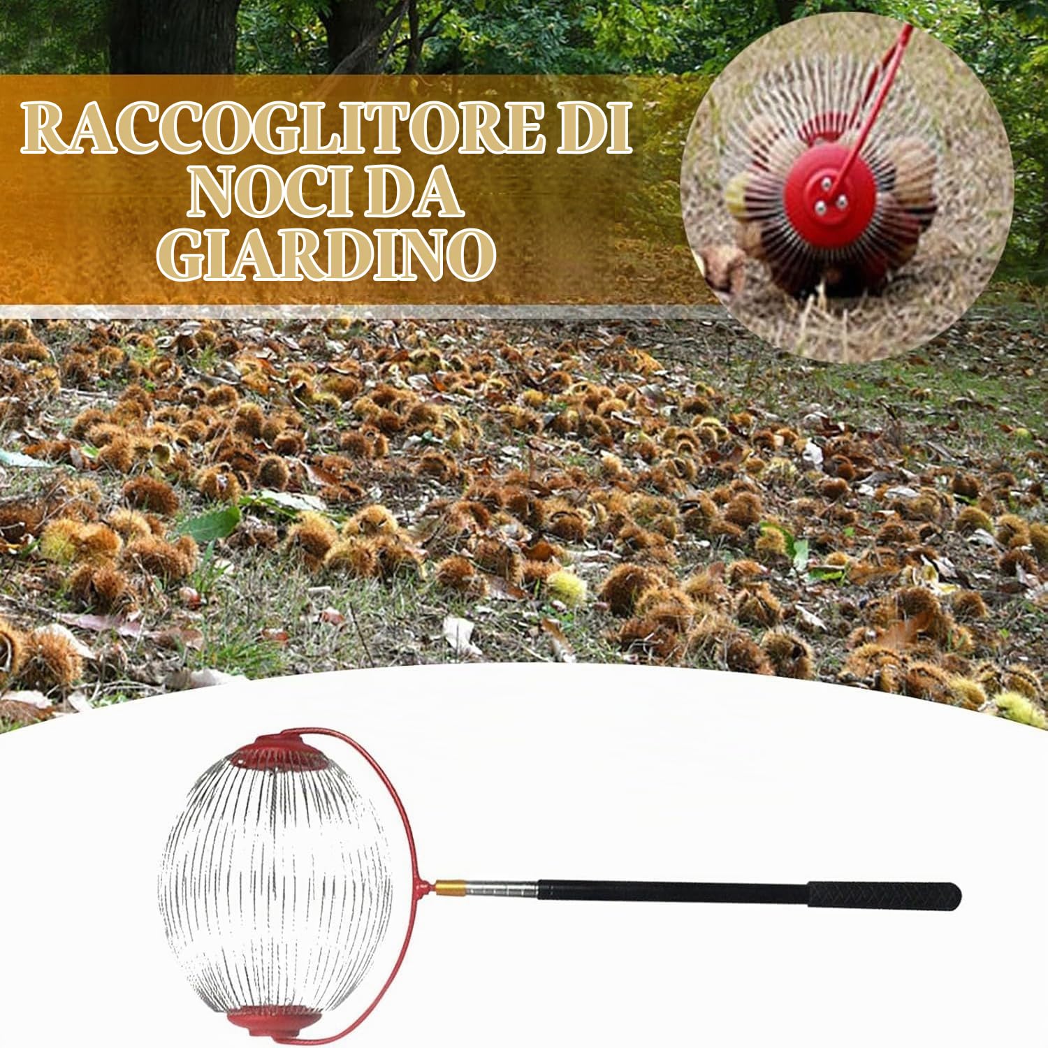 Raccoglitore di noci a rullo,Raccoglitore di noci con manico telescopico