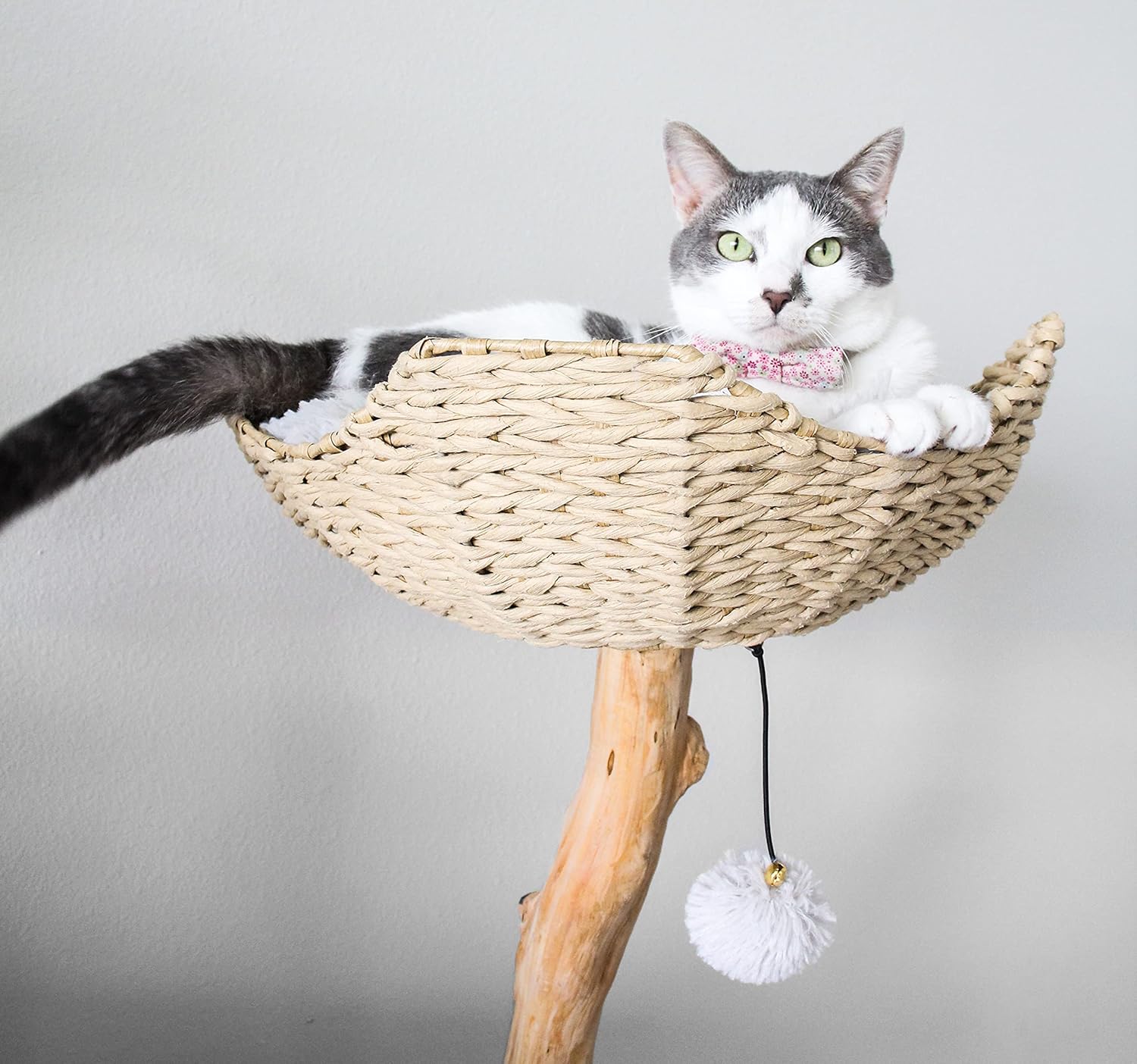 Buy Modern Cat Tree Tower Real Wooden Single Branch Cat Condo Wood Cat Tree Cat Climbing Furniture For Cat Cat Lover Gift Cat Furniture Cat Gift By Mau Lifestyle Online In Indonesia B09c93wfc7