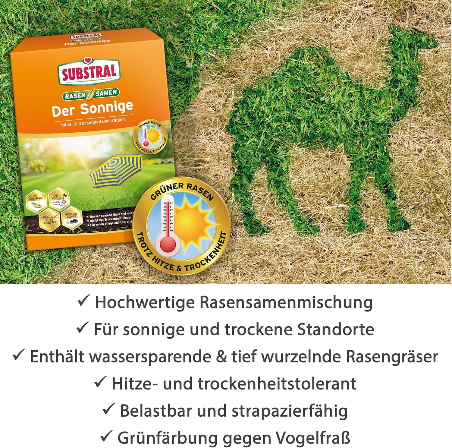 Substral Semence à gazon "Ensoleillé" - 2,25 Kg - 100 m²