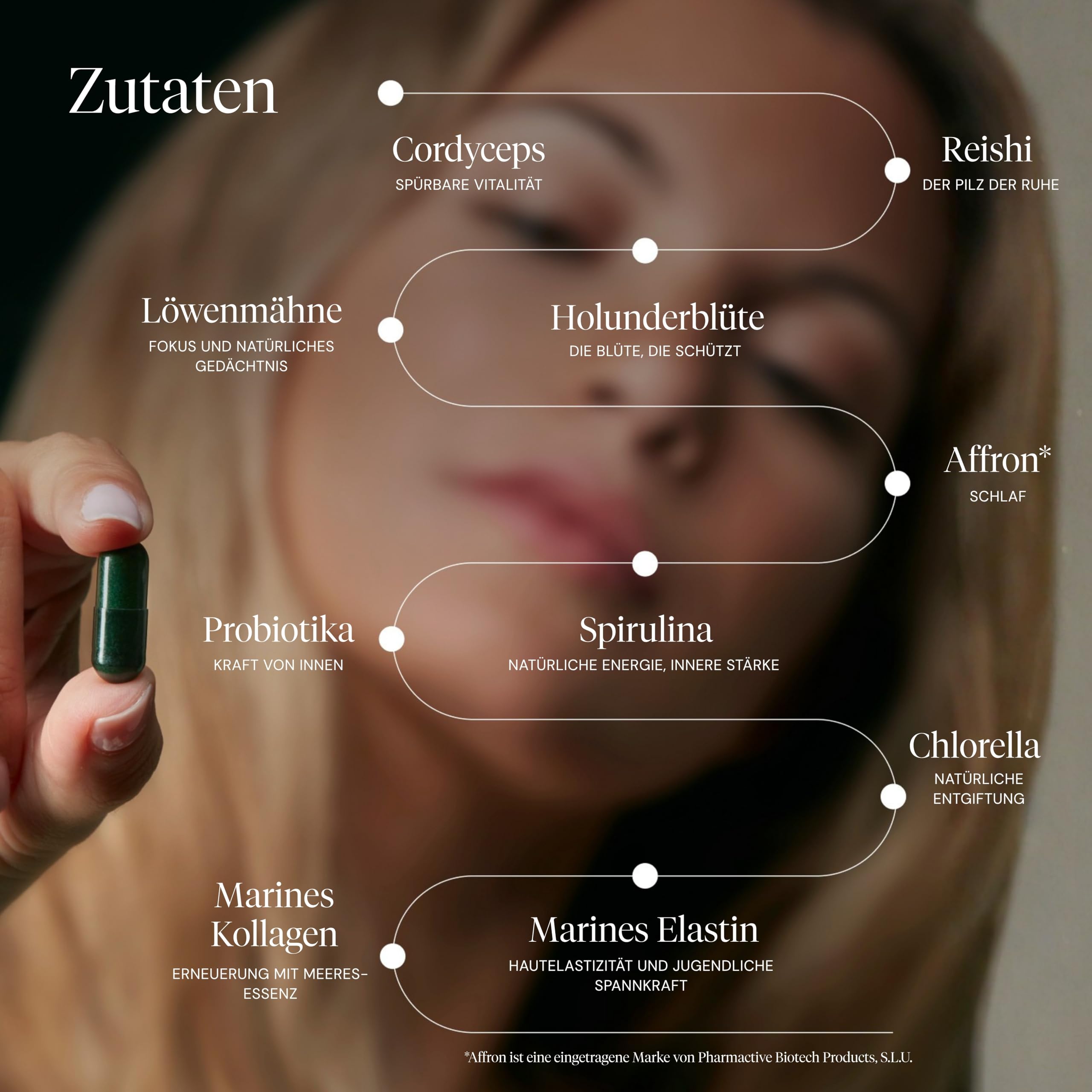 HIFAS DA TERRA – Nutrikosmetik Vitalpilze Supplement Optimum Health mit Pilzextrakt: Cordyceps, Reishi, Löwenmähne. Welcome Pack mit wiederverwendbarer Flasche + 60 Kapseln. Schönheit und Wohlbefinden