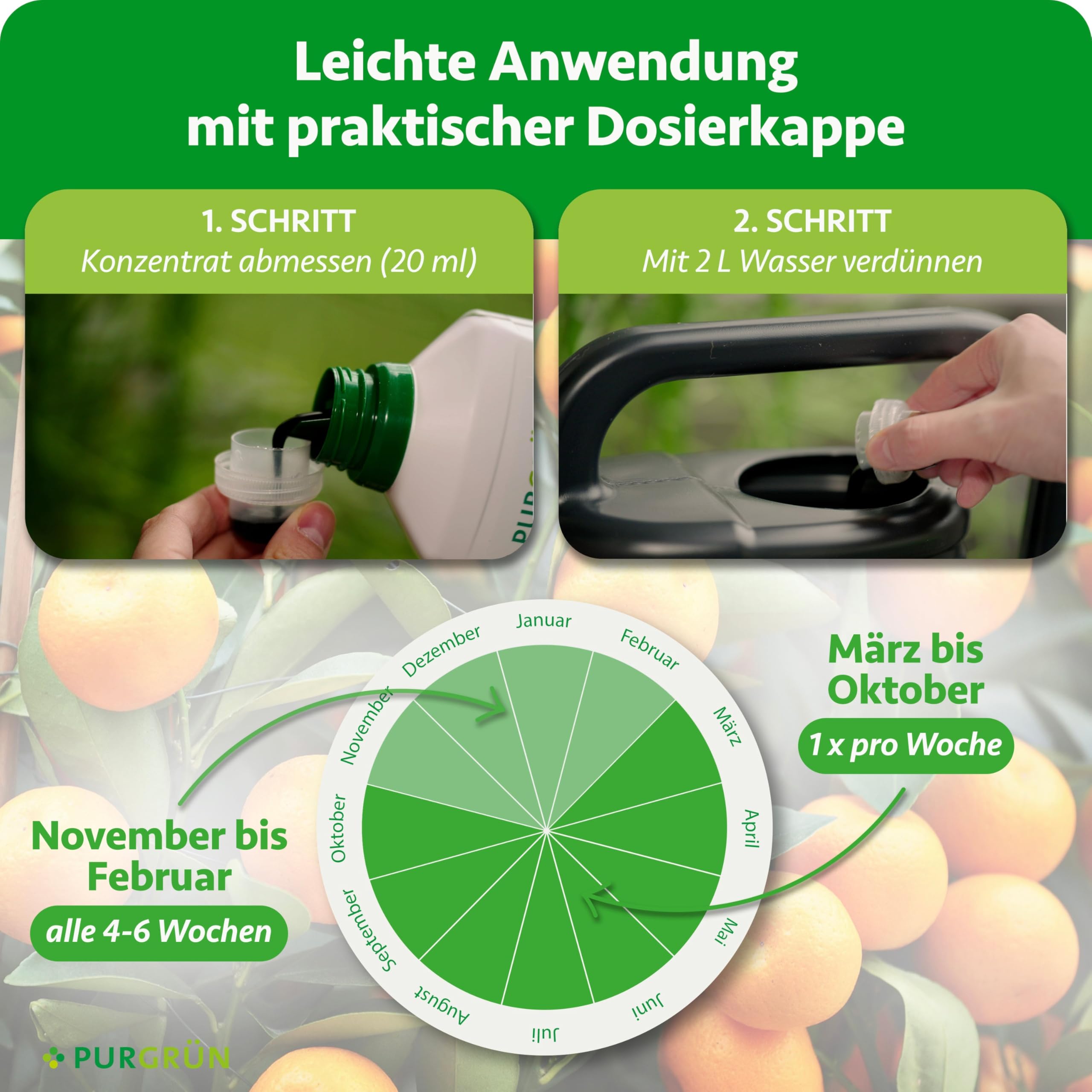 Bio-Zitrusdünger 1 Liter – Gesundes Wachstum dank rein natürlicher Inhaltsstoffe – Fördert die Blütenbildung mit extra Kalium – Ergiebiges Konzentrat für 100 Liter Gießwasser
