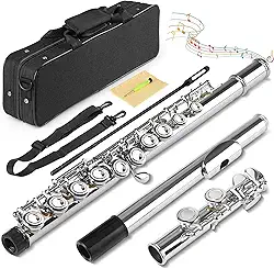 16 Furos C Flauta Chave Fechada, Kit Flauta Transversal Prateada Dó, Flauta Transversal Niquelada 16 Chaves, Flauta de Furo Fechado Banhado a Níquel, Orifício Fechado C 16 Instrumento de Flauta