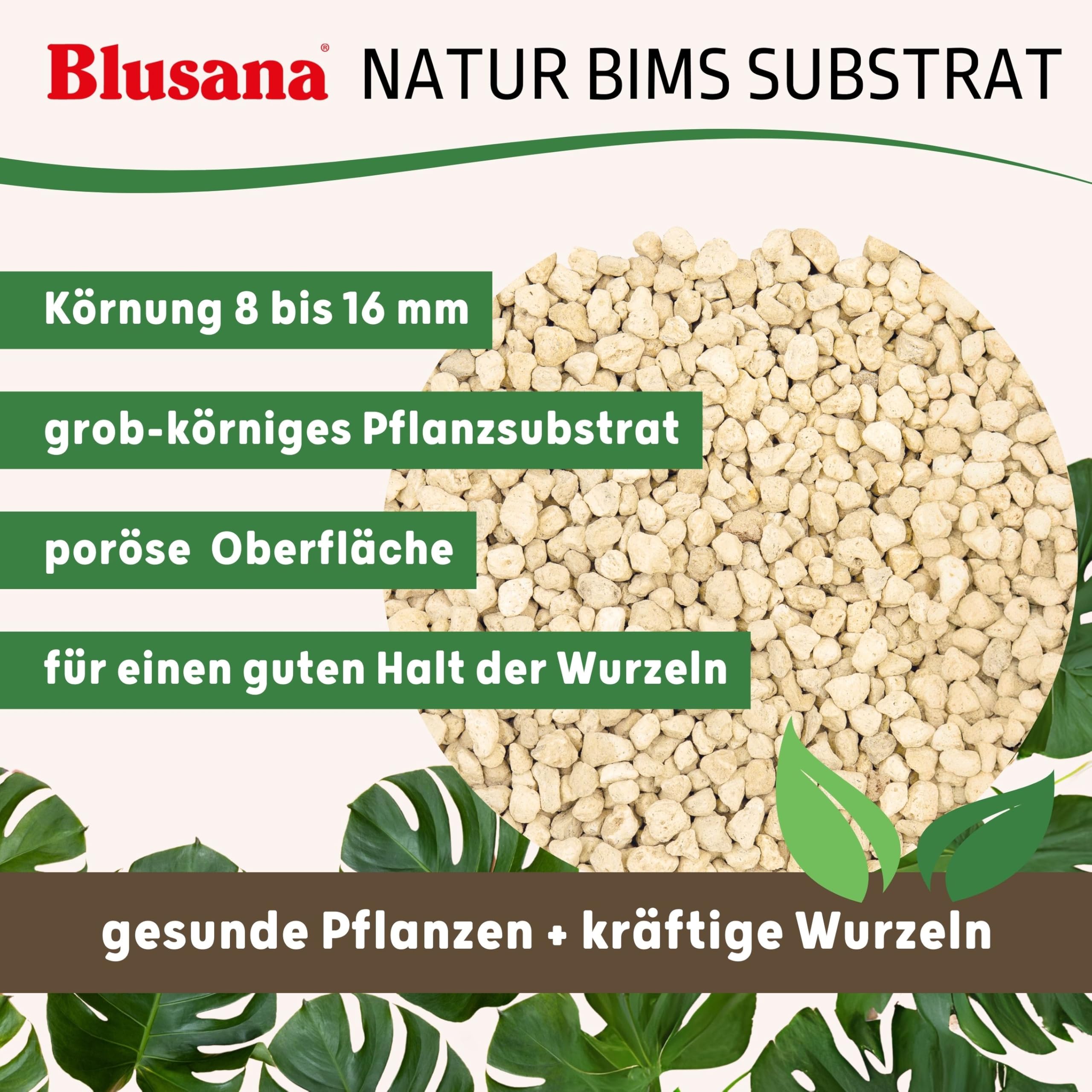 Bimsstein Pflanzsubstrat 35 Liter für Pflanzen natürliches Vulkangestein | mineralisches Granulat grobe Körnung 8-16 mm Hydrokultur Drainage Dekor