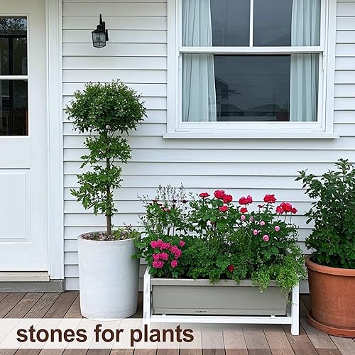 Miniatura 2 de Calofulston Rocas de río de 10 libras para plantas, piedras pulidas decorativas para paisajismo de jardín, macetas, decoración de interiores y