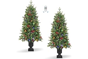 Christmas Tree for Two Front Doors