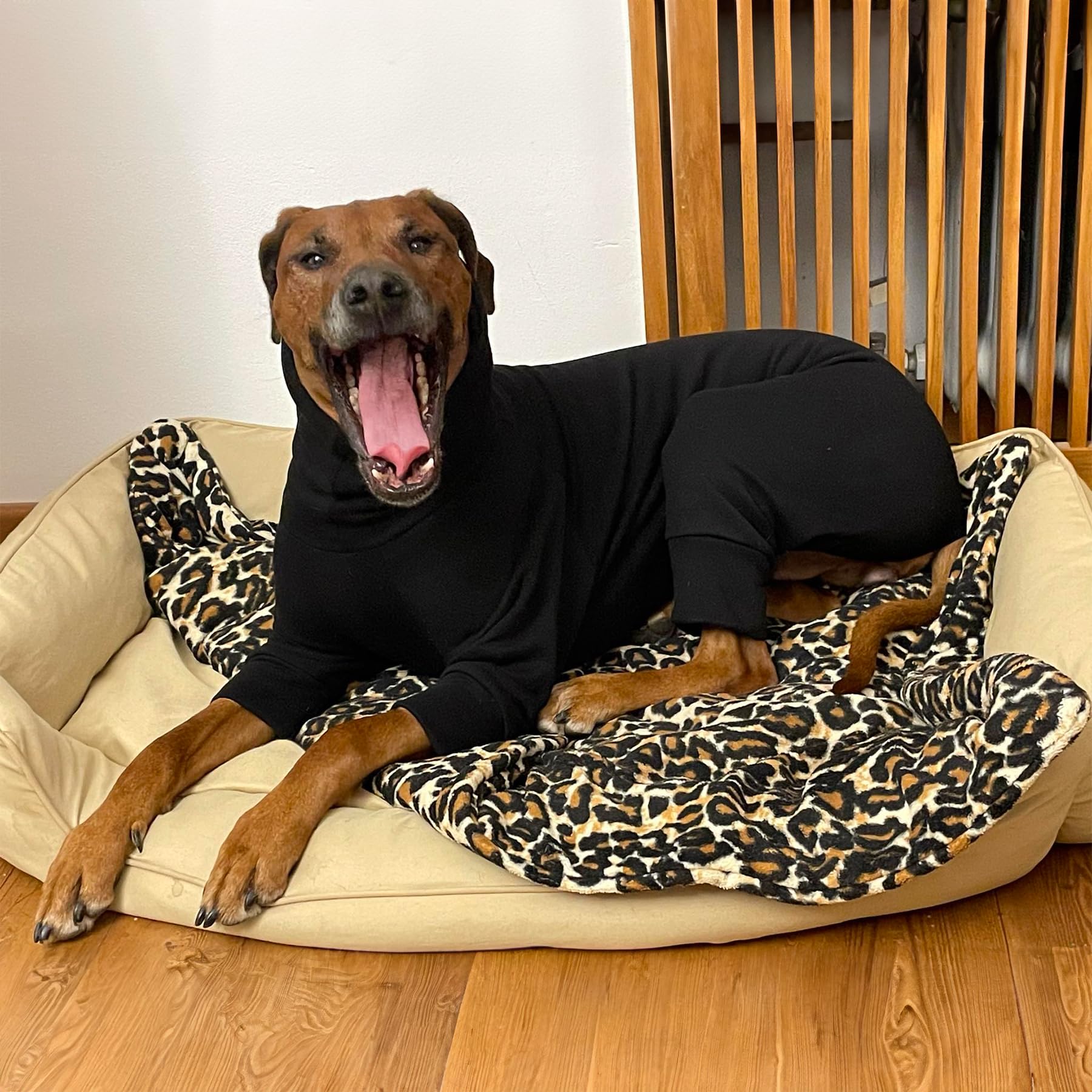 EDEL&SCHNELL Hundepullover warm, Hundemantel aus Baumwolle, Overall für Hunde Größe 65-70, Schwarz mit langem Kragen und Beinen